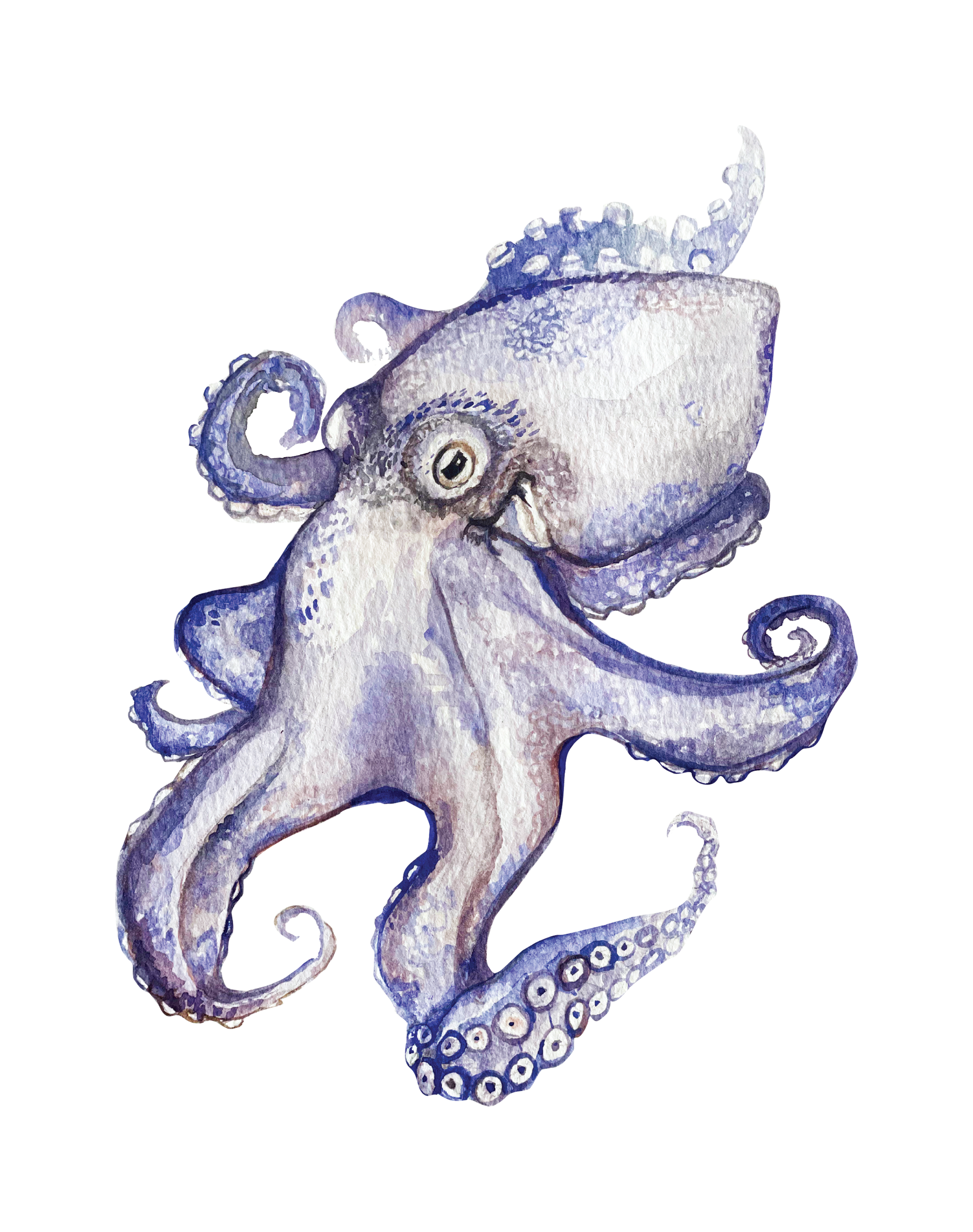 octopng.png