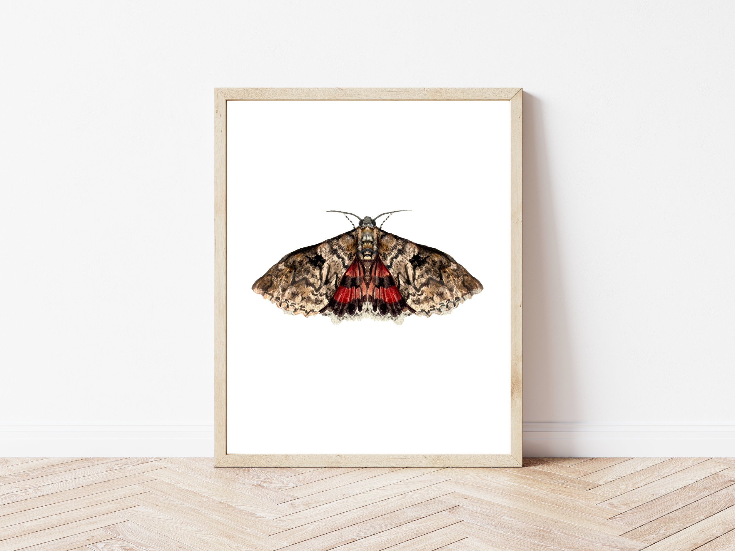 Underwing Moth Print Mockup White.png