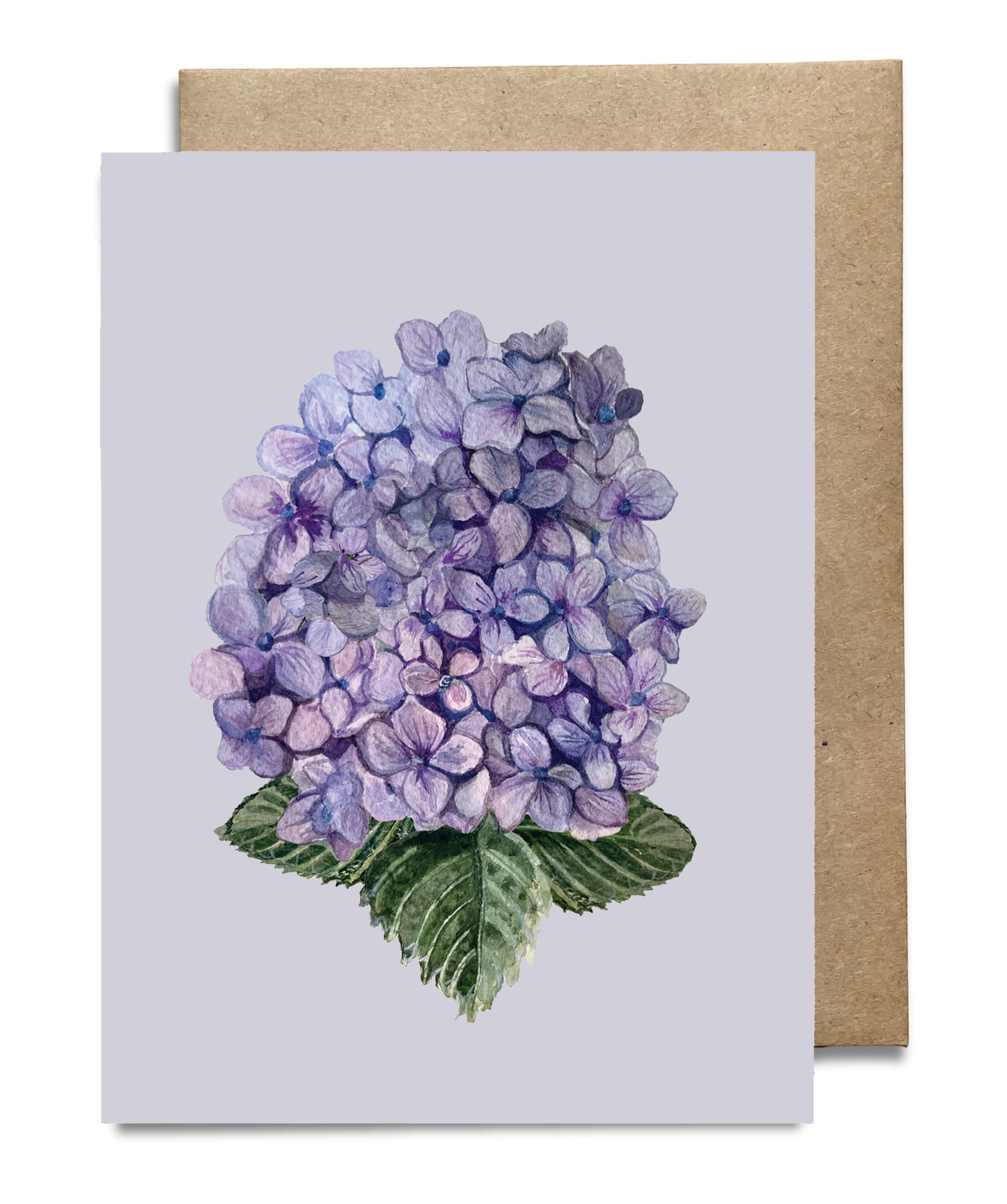 Hydrangea Card