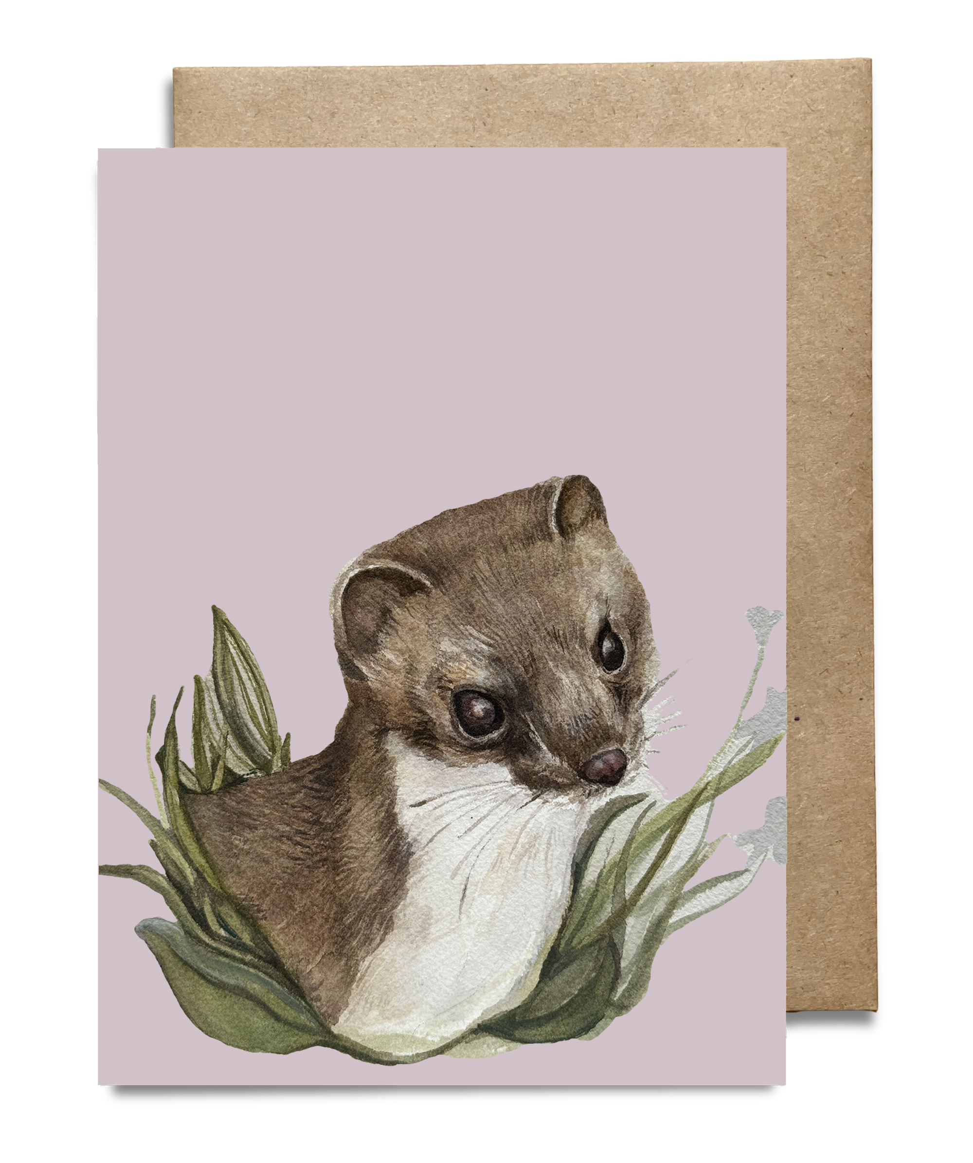 American Stoat Card