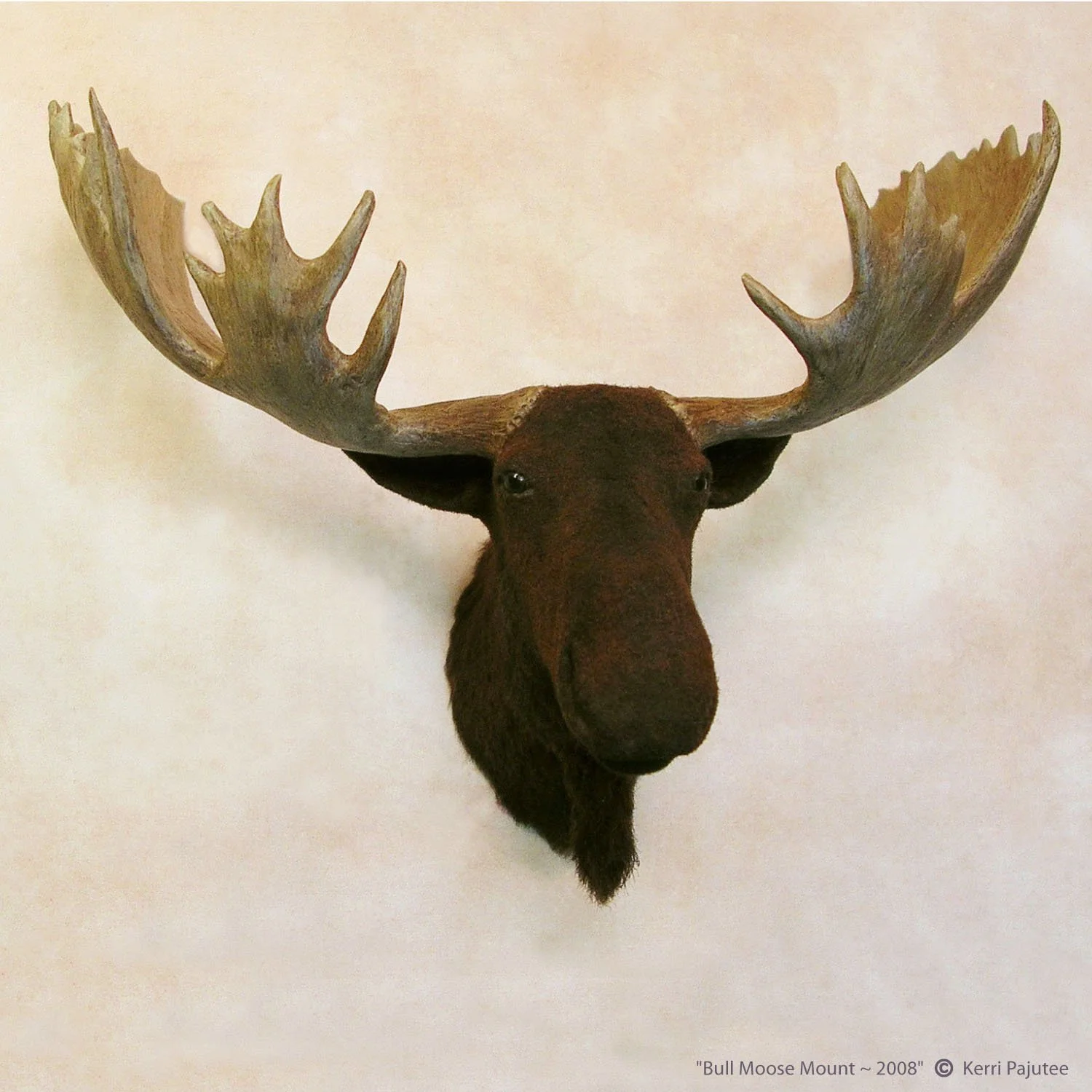 Moosemount.jpg