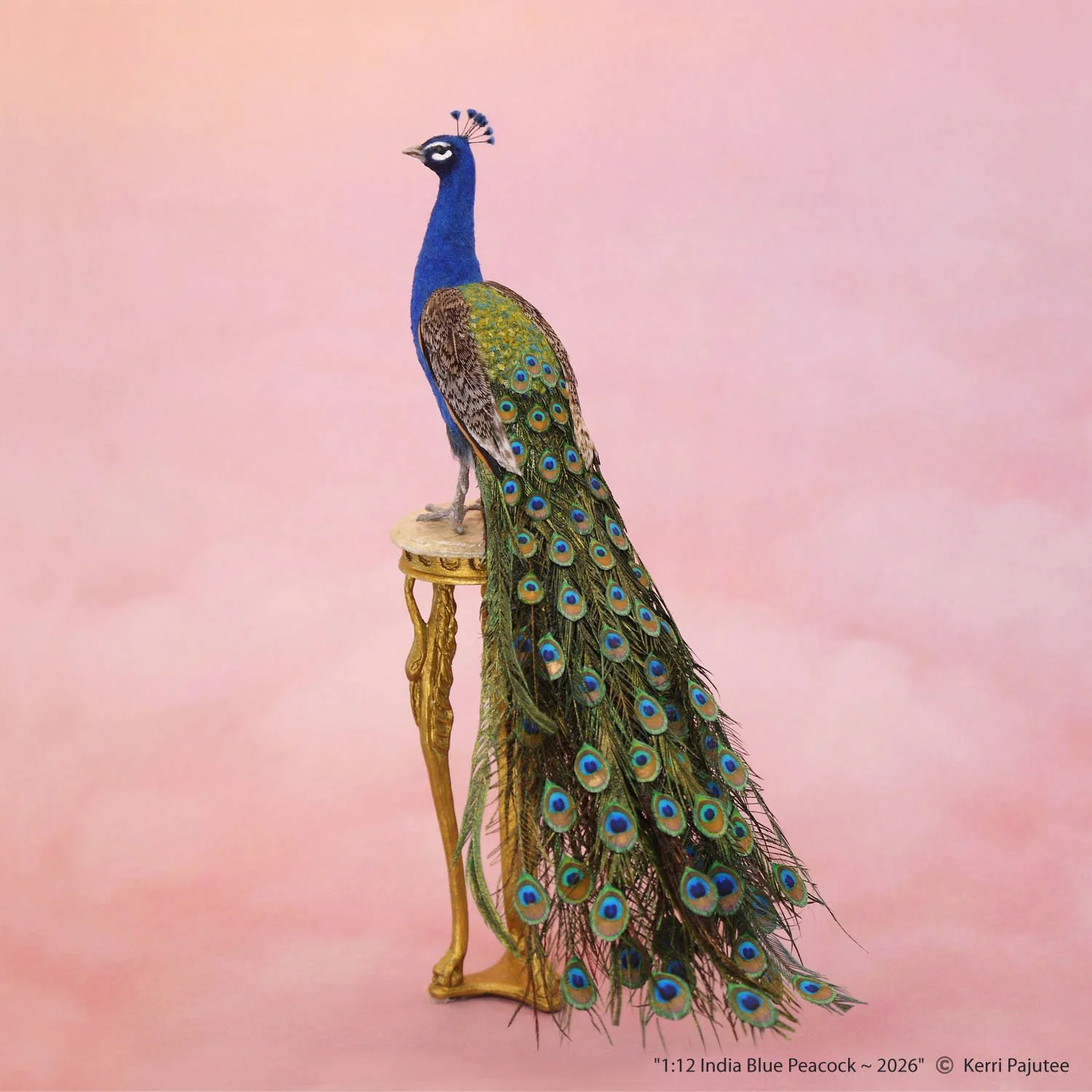1:12 scale India Blue Peacock sculpture by Kerri Pajutee