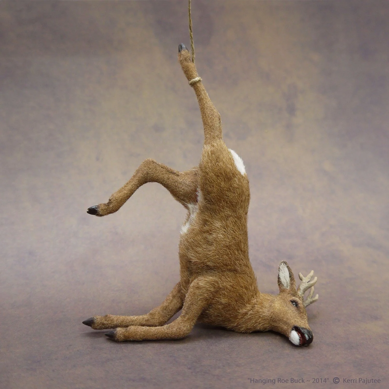 HangingRoeBuck.jpg