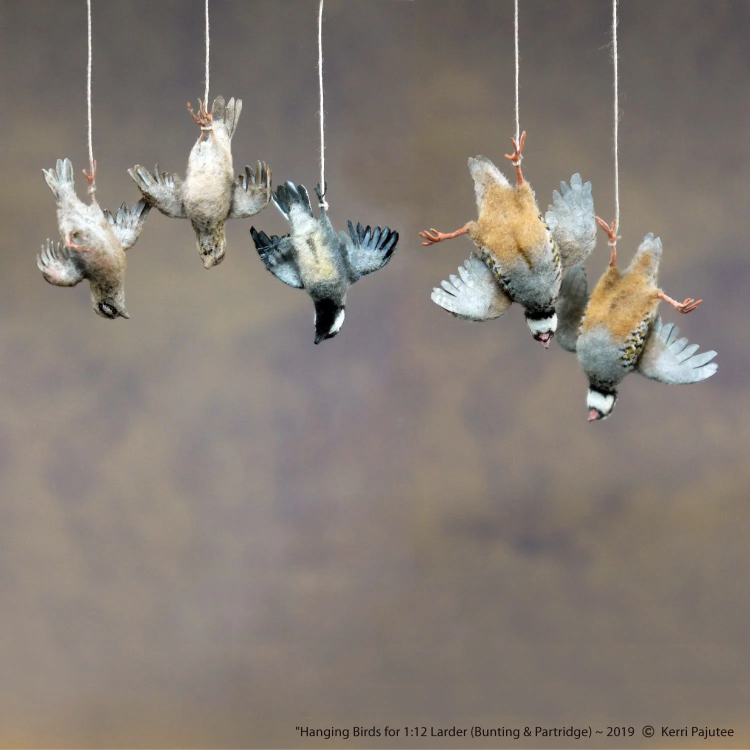 Hanging Birds for Larder1.jpg