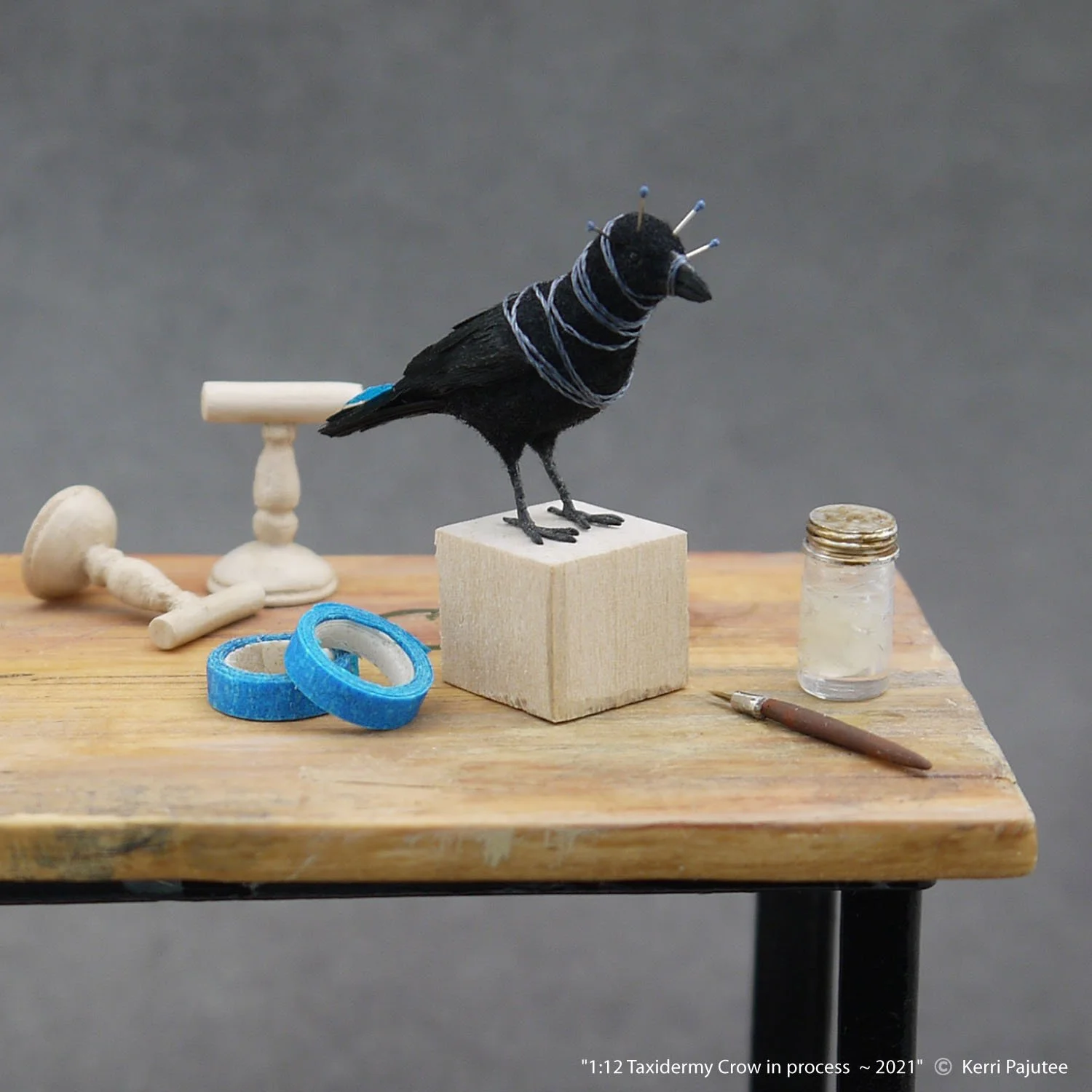 KP_Taxidermy Crow in process 2021.jpg