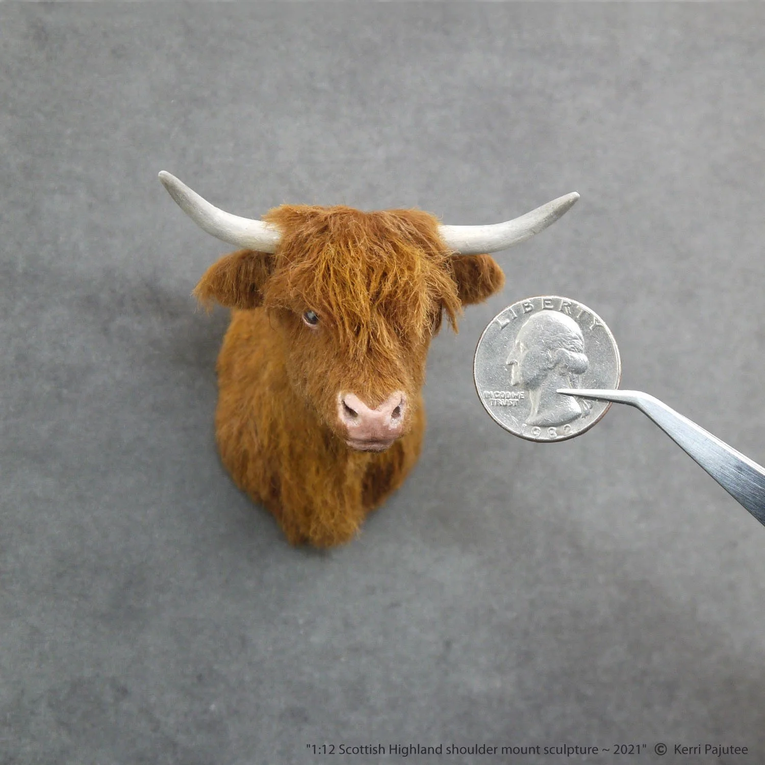 KP_Scottish Highland mount 2021.jpg
