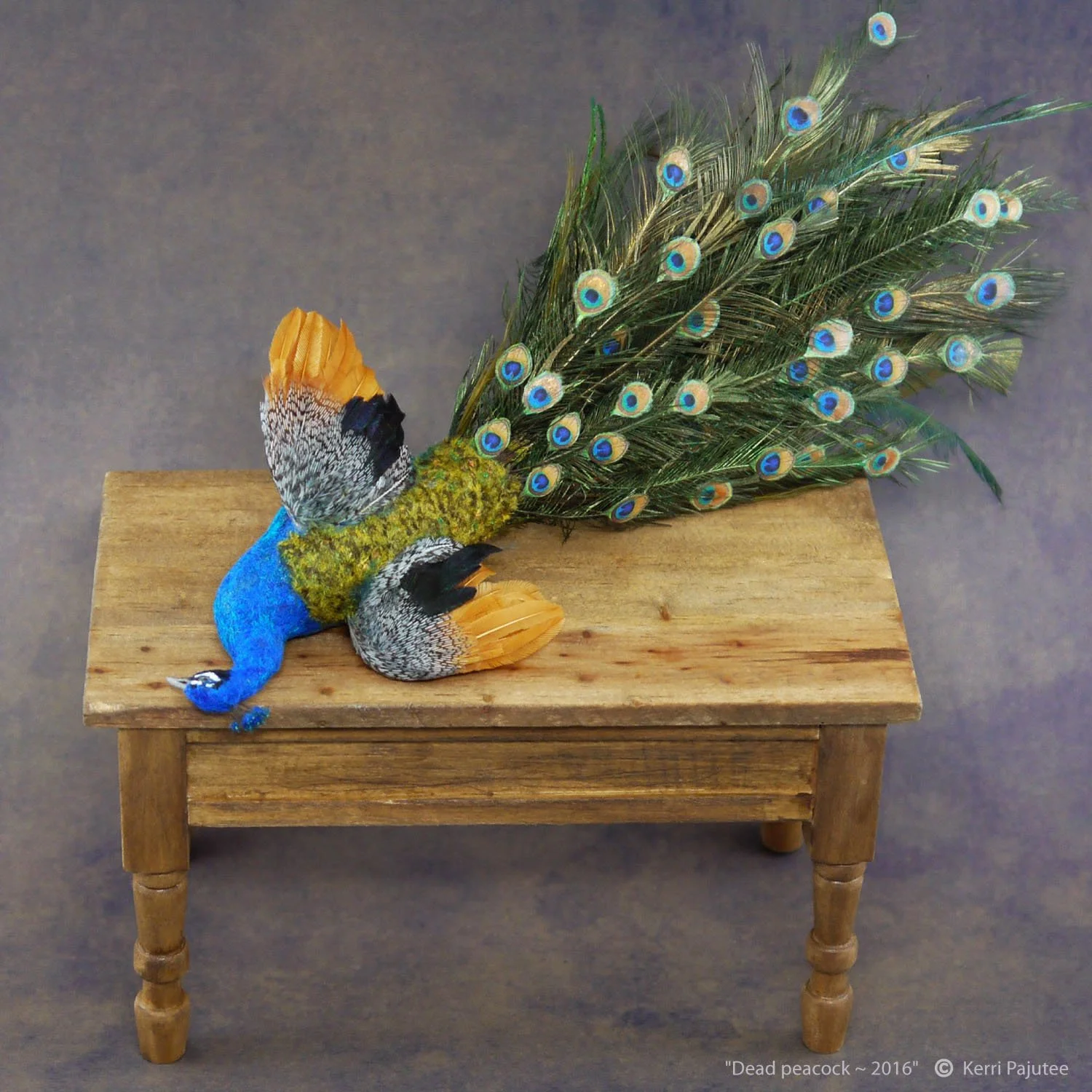 DeadPeacock2.jpg