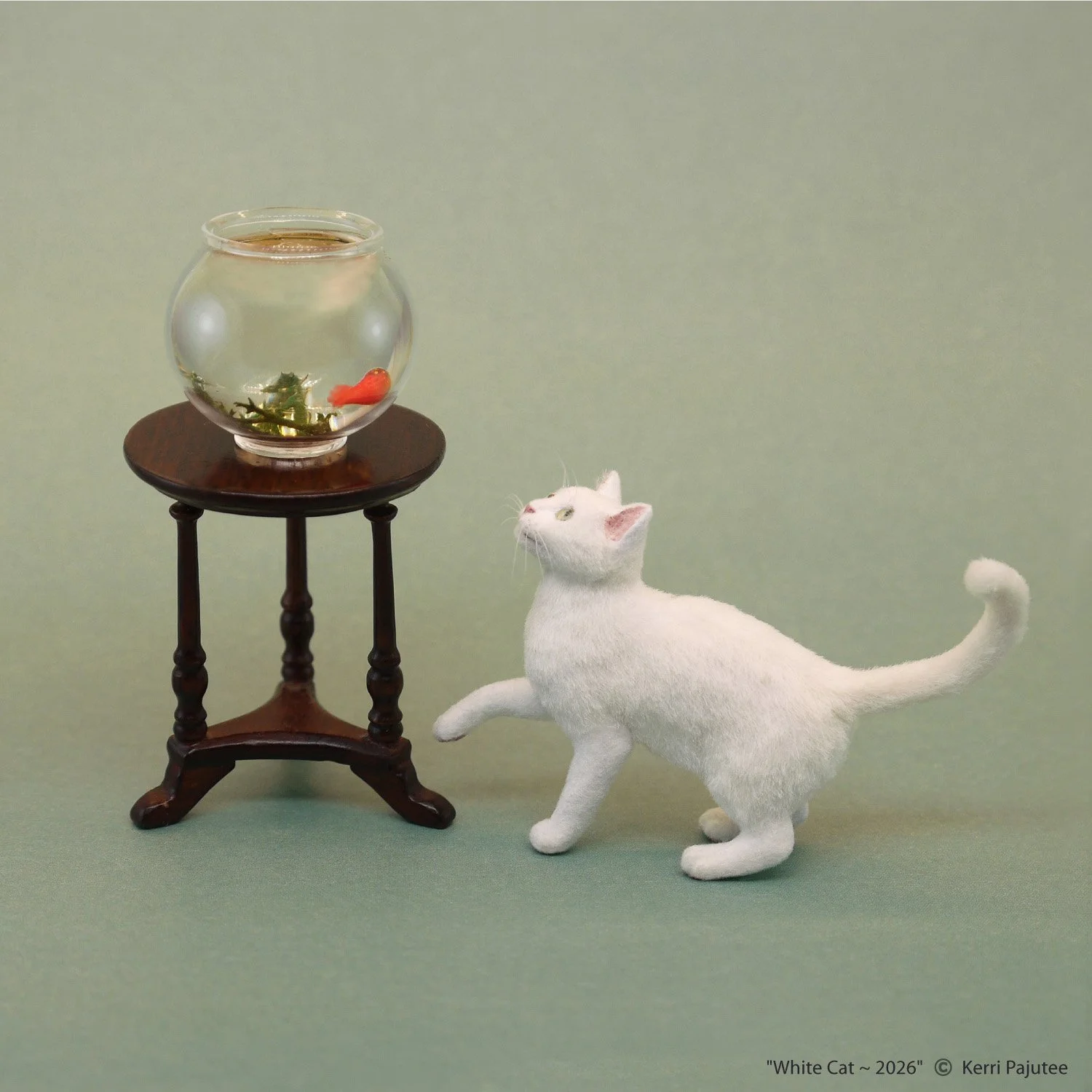 KP_White Cat 2026.jpg
