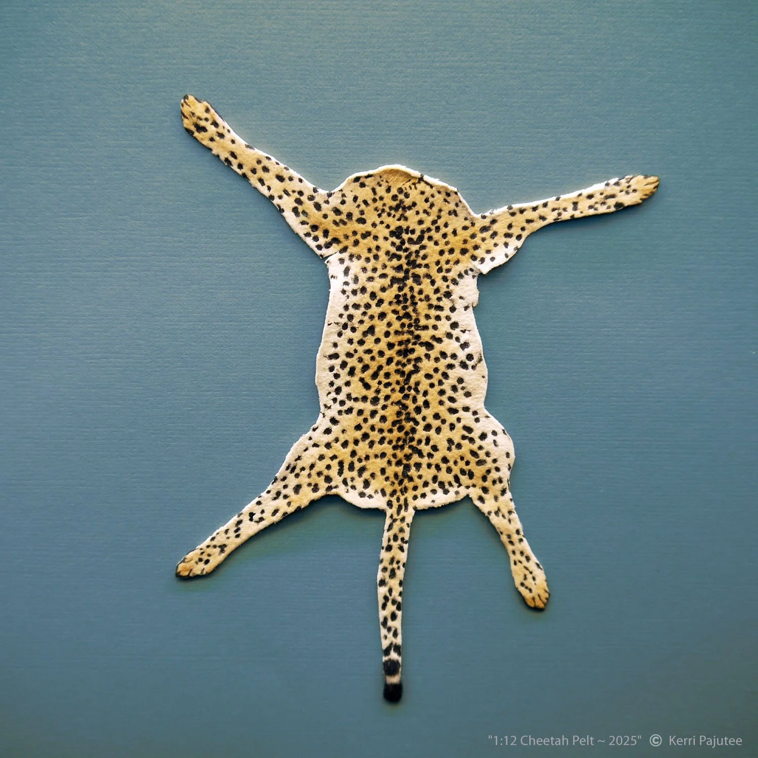 KP_Cheetah pelt 2025.jpg