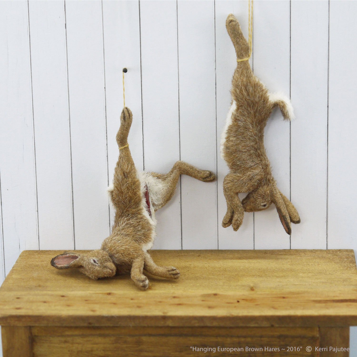 HangingHares.jpg