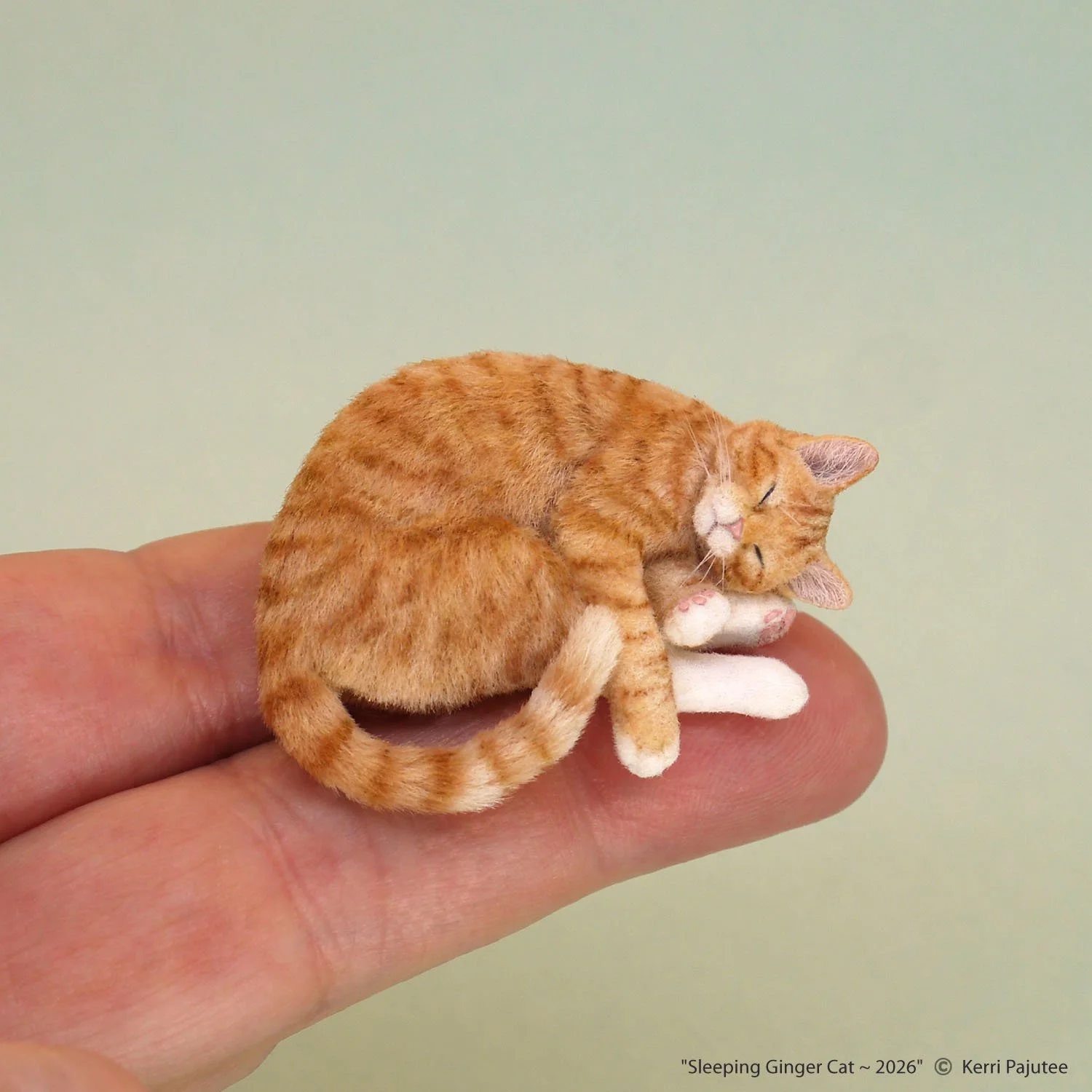 KP_Sleeping Ginger Cat 2026.jpg