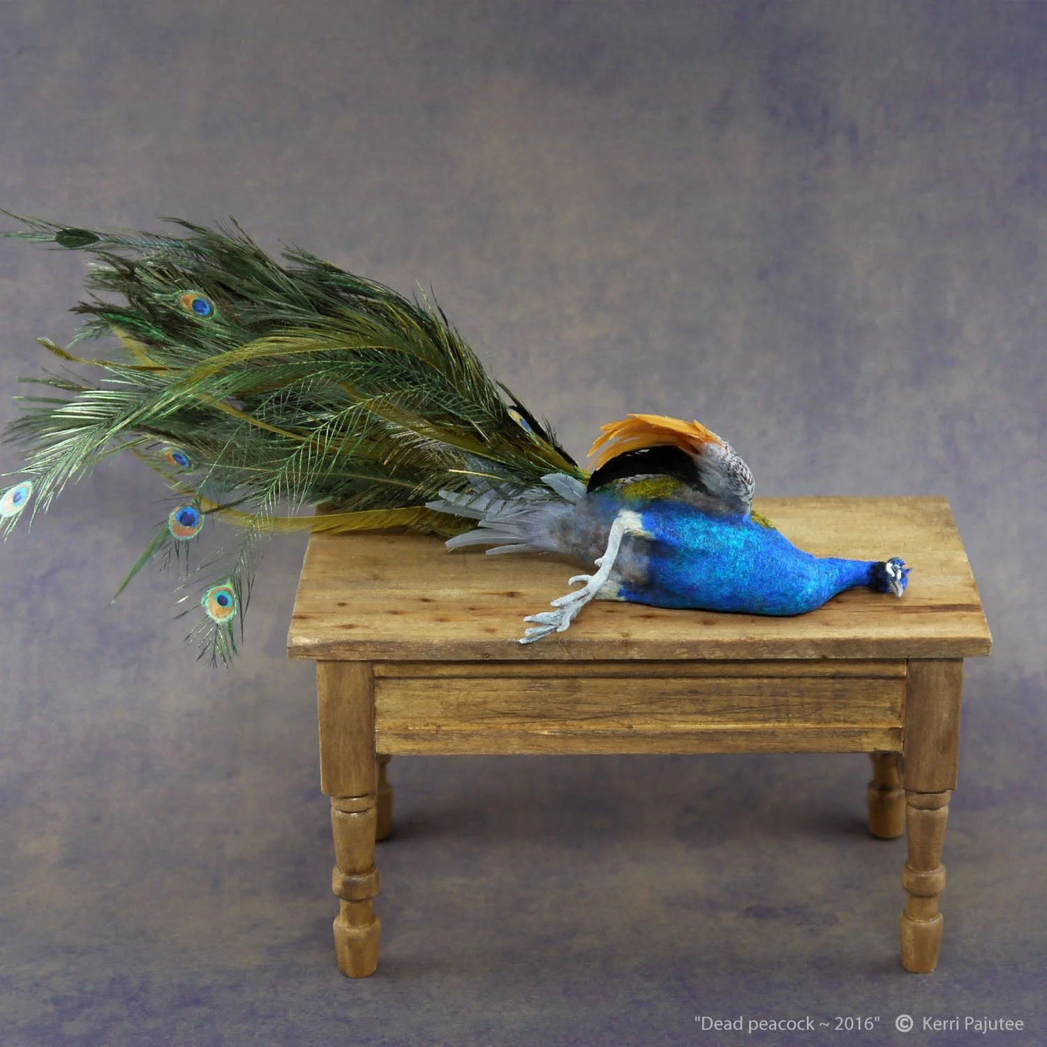 DeadPeacock1.jpg