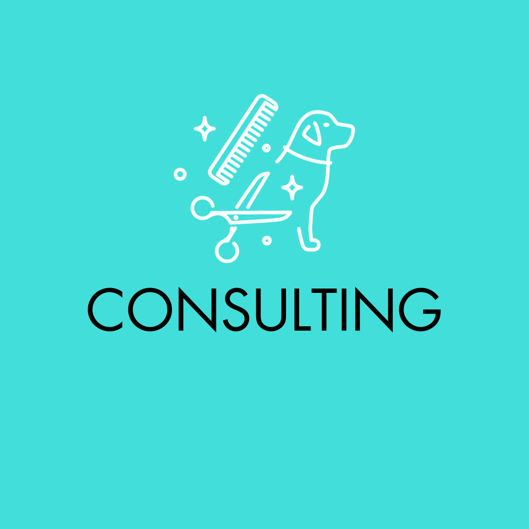 A light blue background with white line art of a dog, scissors, a ruler, and sparkles, and the word "Consulting" in bold black text.