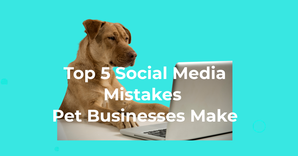 Top 5 Social Media Mistakes Pet Businesses Make