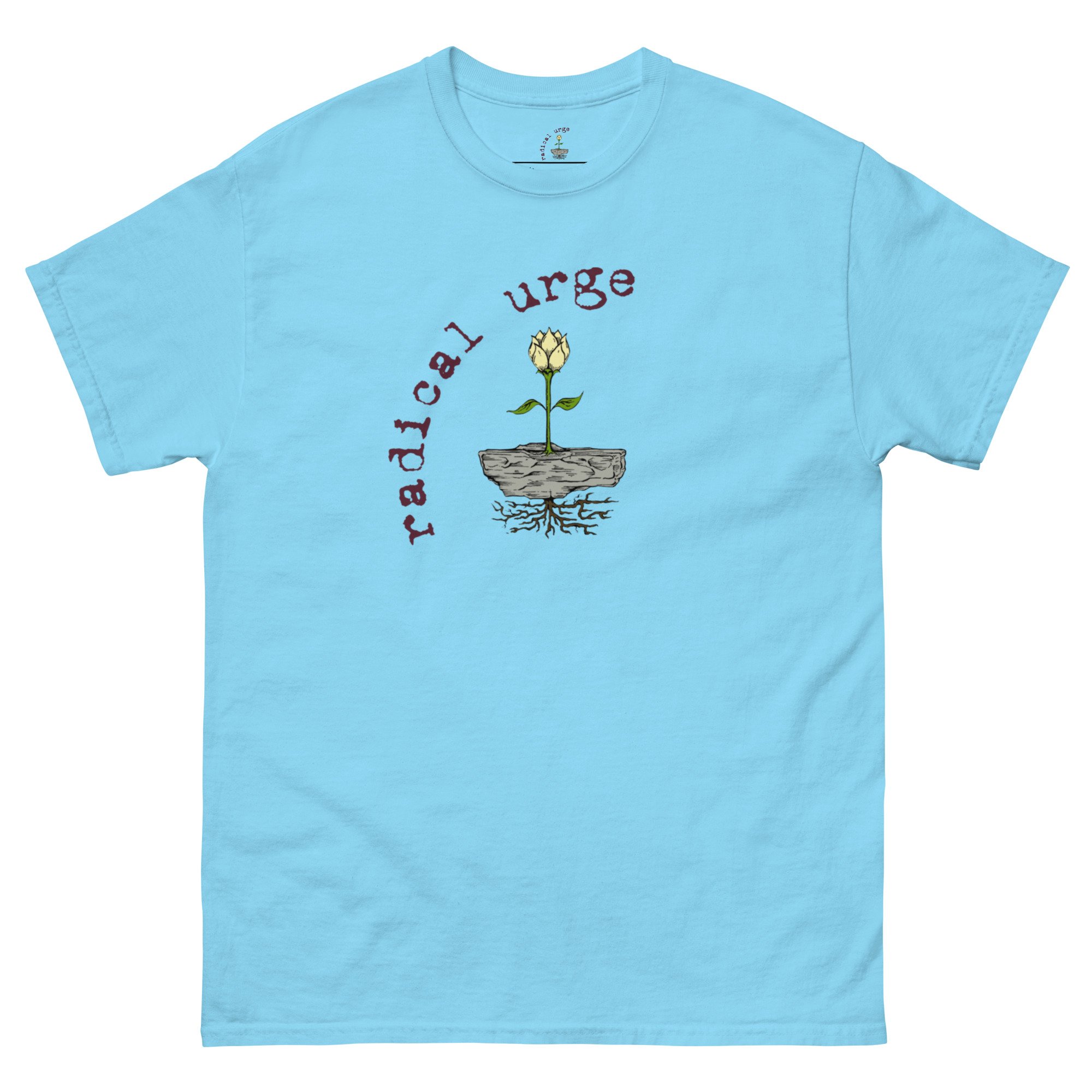 unisex-classic-tee-sky-front-6801867da2bea.jpg