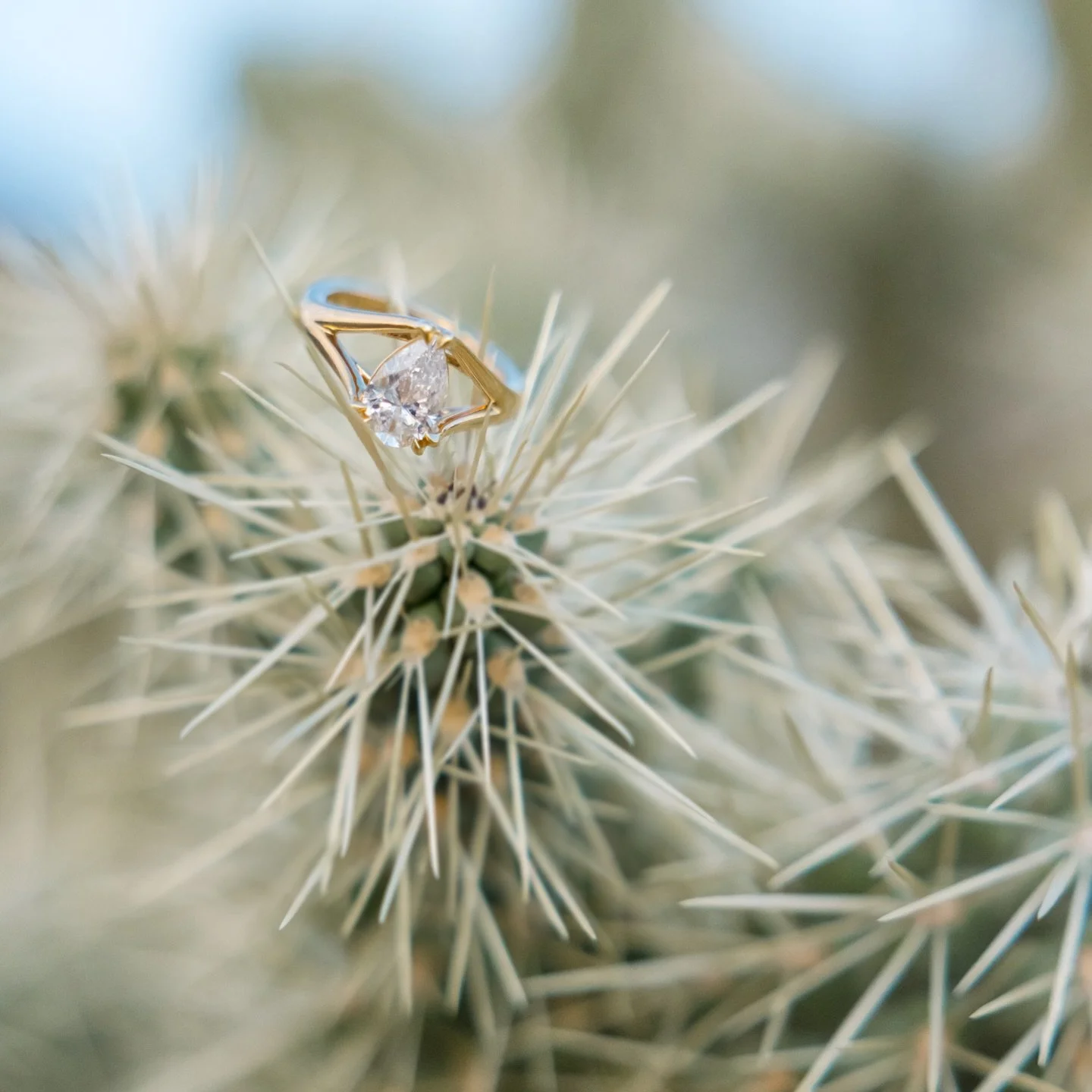 A moment for the shiny rock BEFORE you hired @idoadventureco to plan the perfect proposal 😊 

I just love looking at the detail shots I&rsquo;ve taken in the first two years of starting this business. From learning how to actually get all those diam