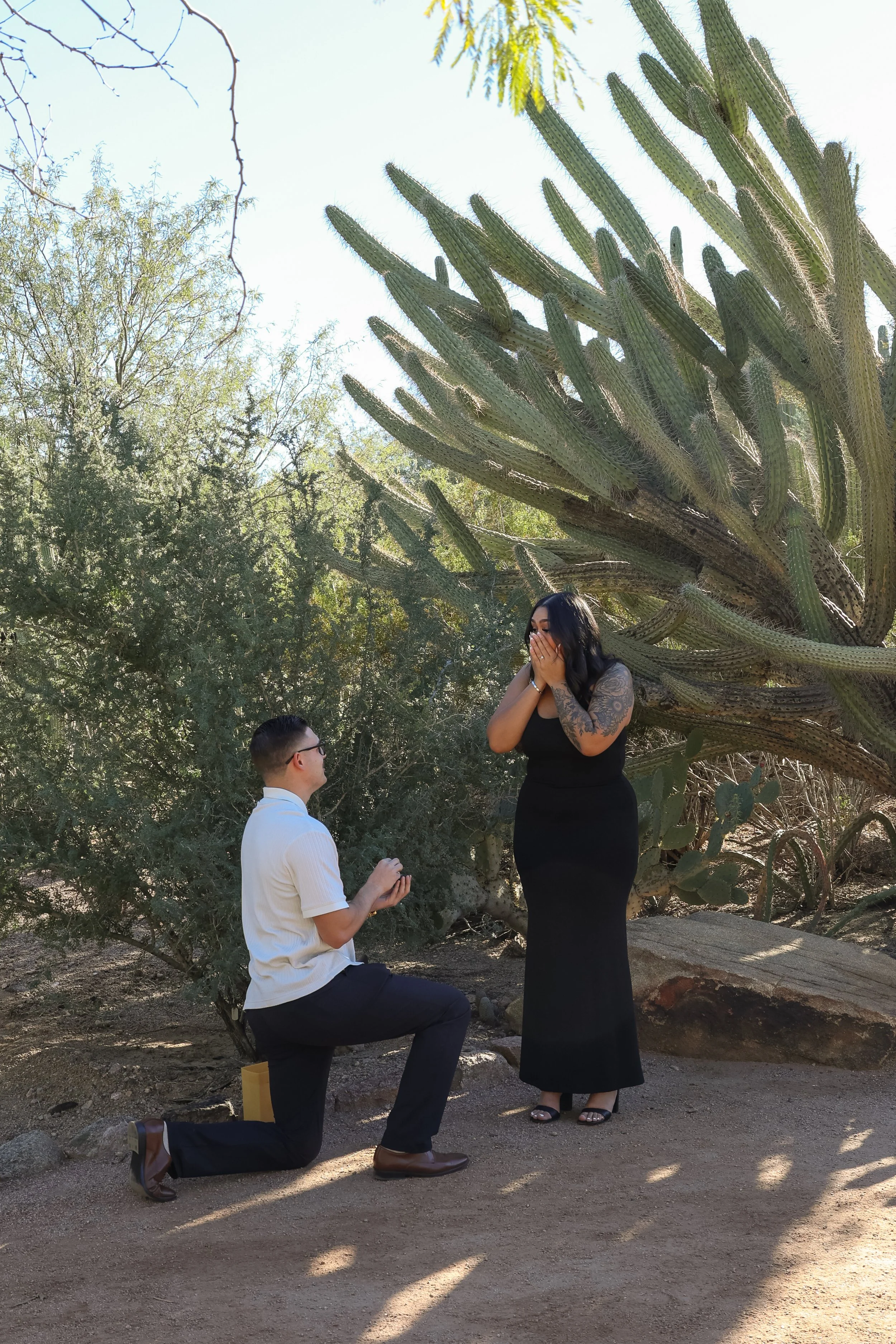 matt-bri-desert botanical gardens-005.jpg