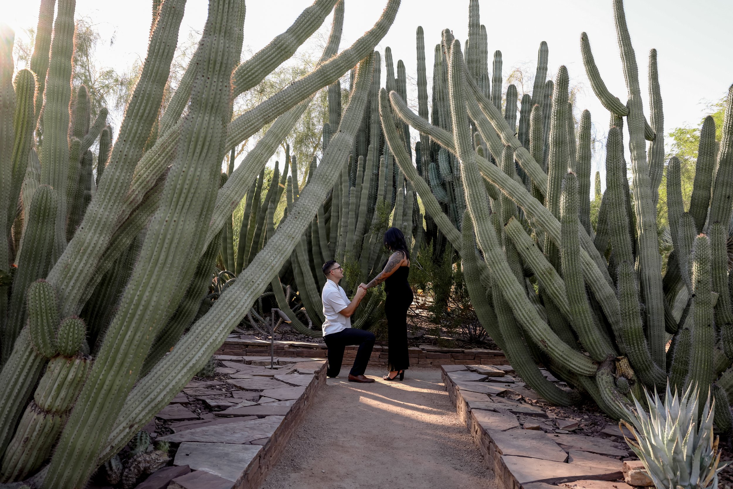 matt-bri-desert botanical gardens-159.jpg