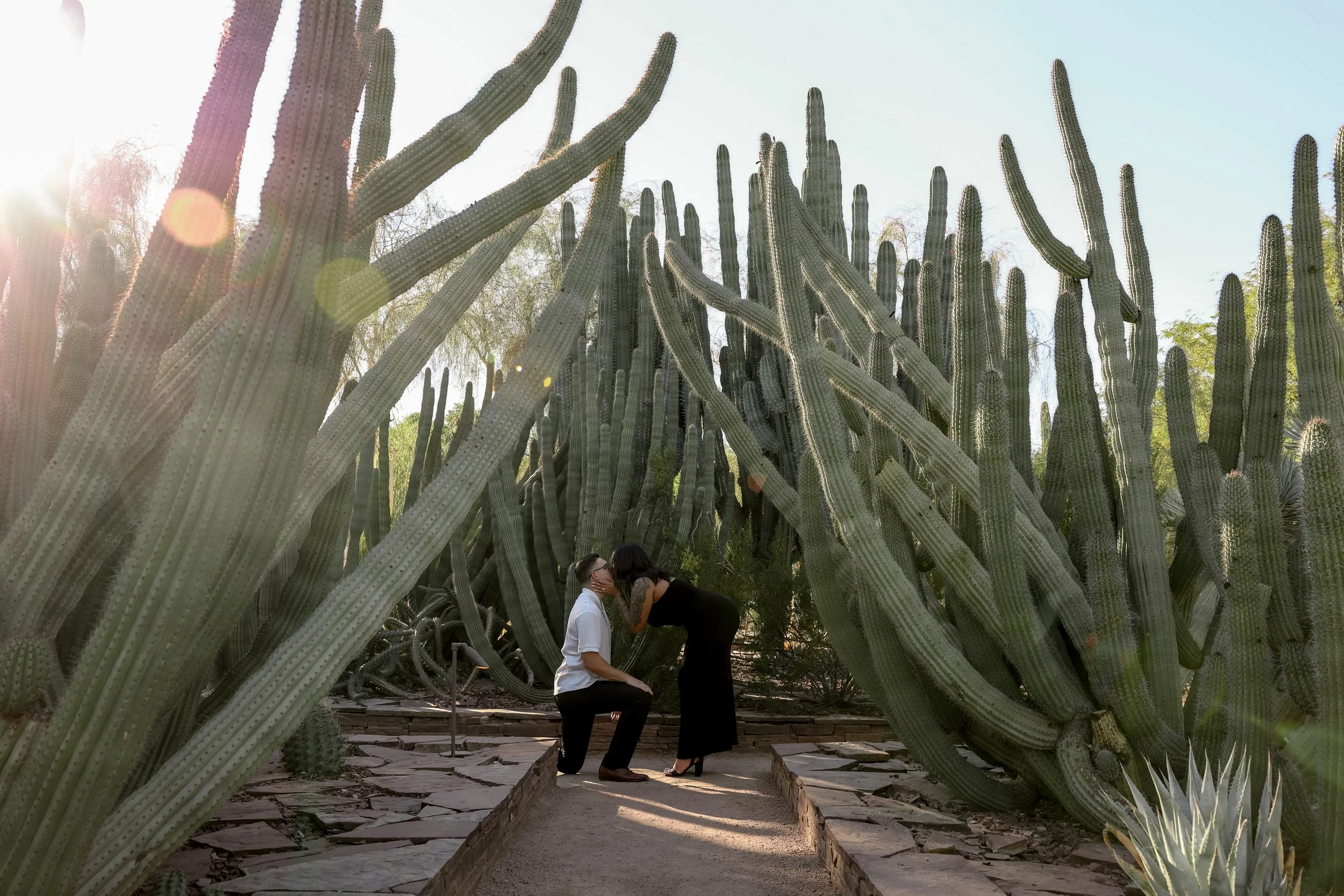 idoadventureo desert botanical gardens proposal