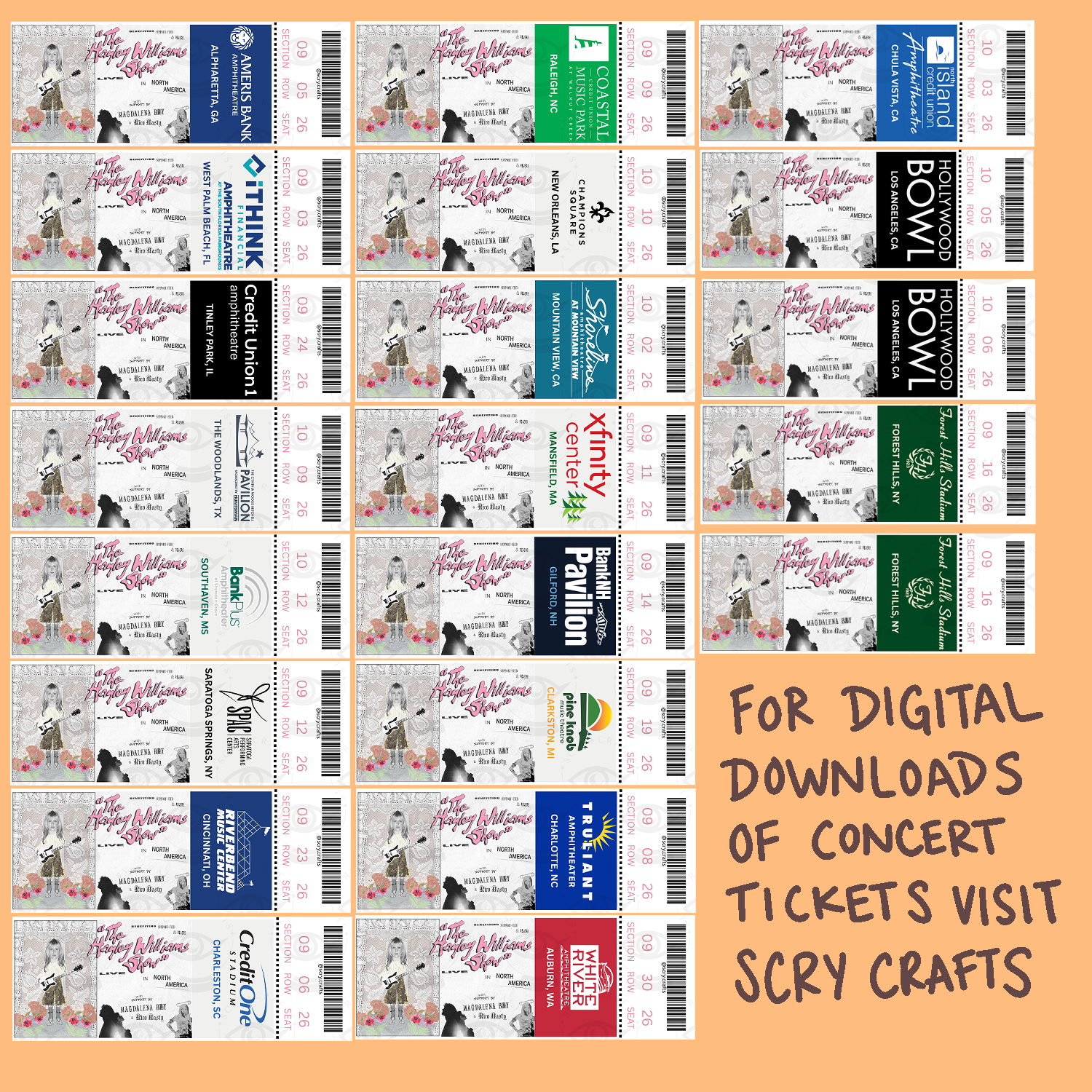 HAYLEY CONCERT TICKETS.png