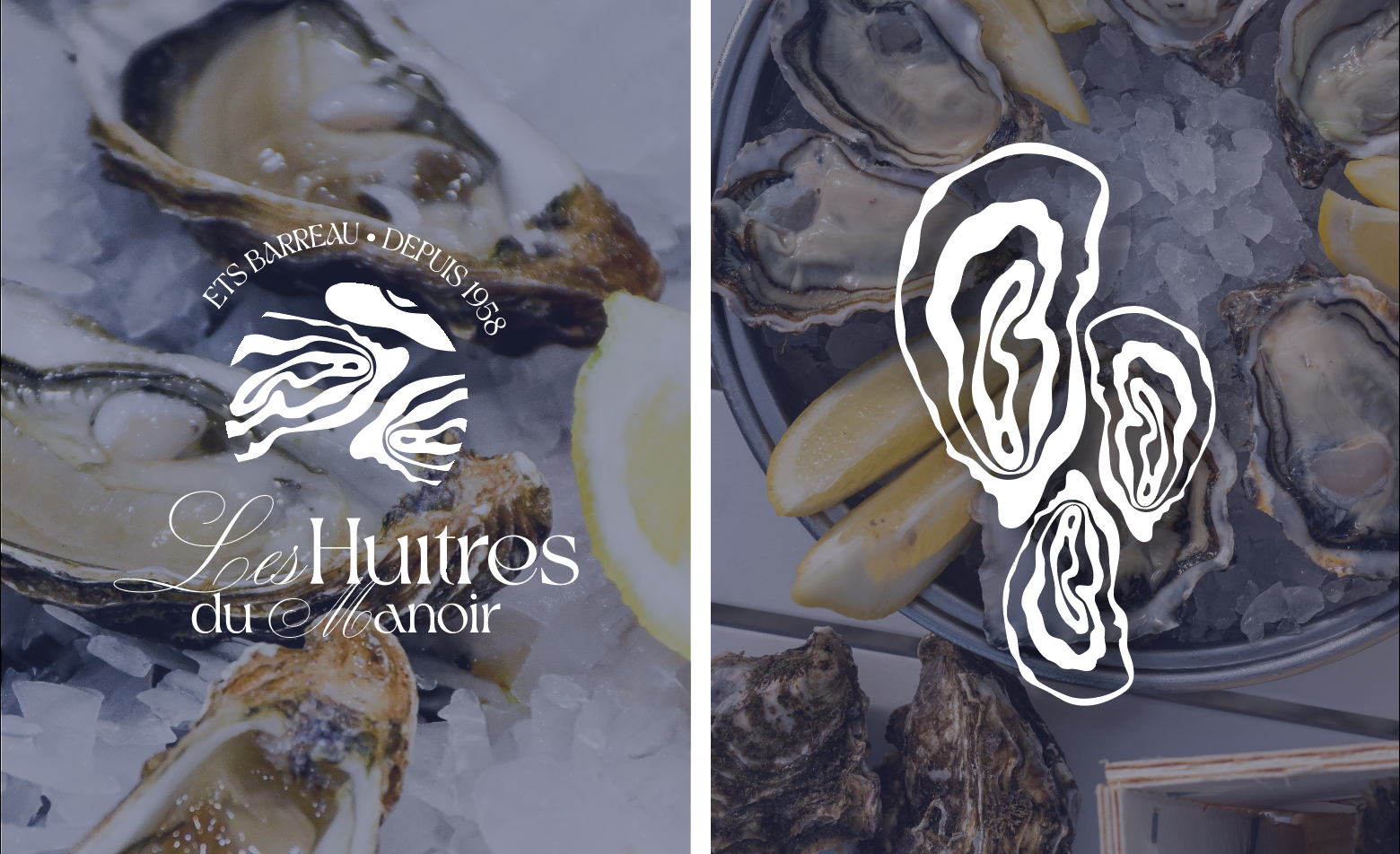 Rebranding & Identité Visuelle — Les Huîtres du Manoir - Charlie RIO GRIVAUD - Logotype