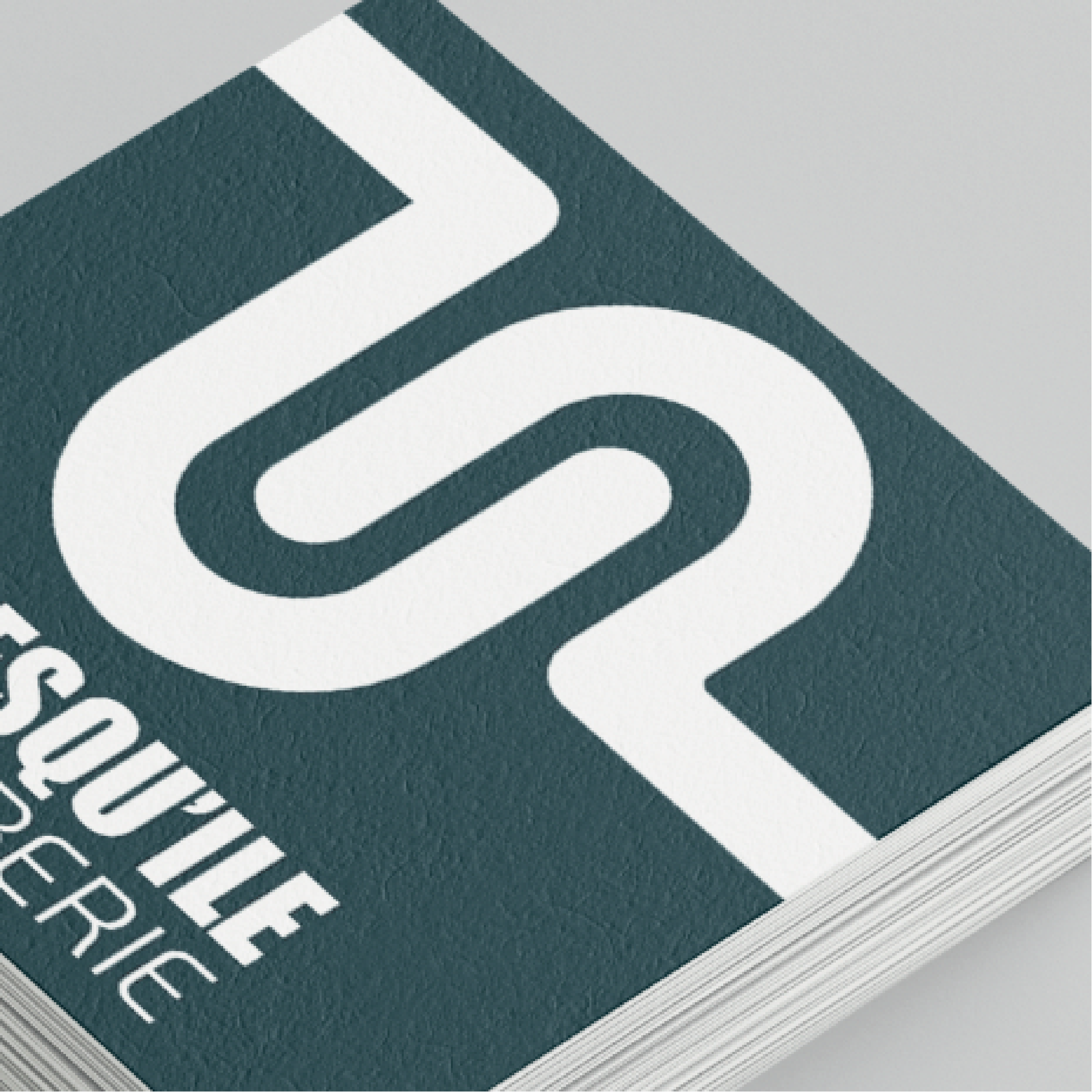 2p charte graphique-08.png