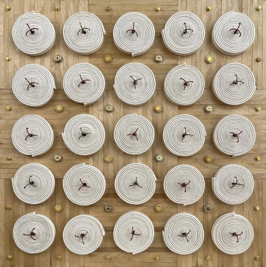 New Methods. 2026 shoe laces, coffee stirrers, resistors, treble hooks and wire 13.375 x 13.375