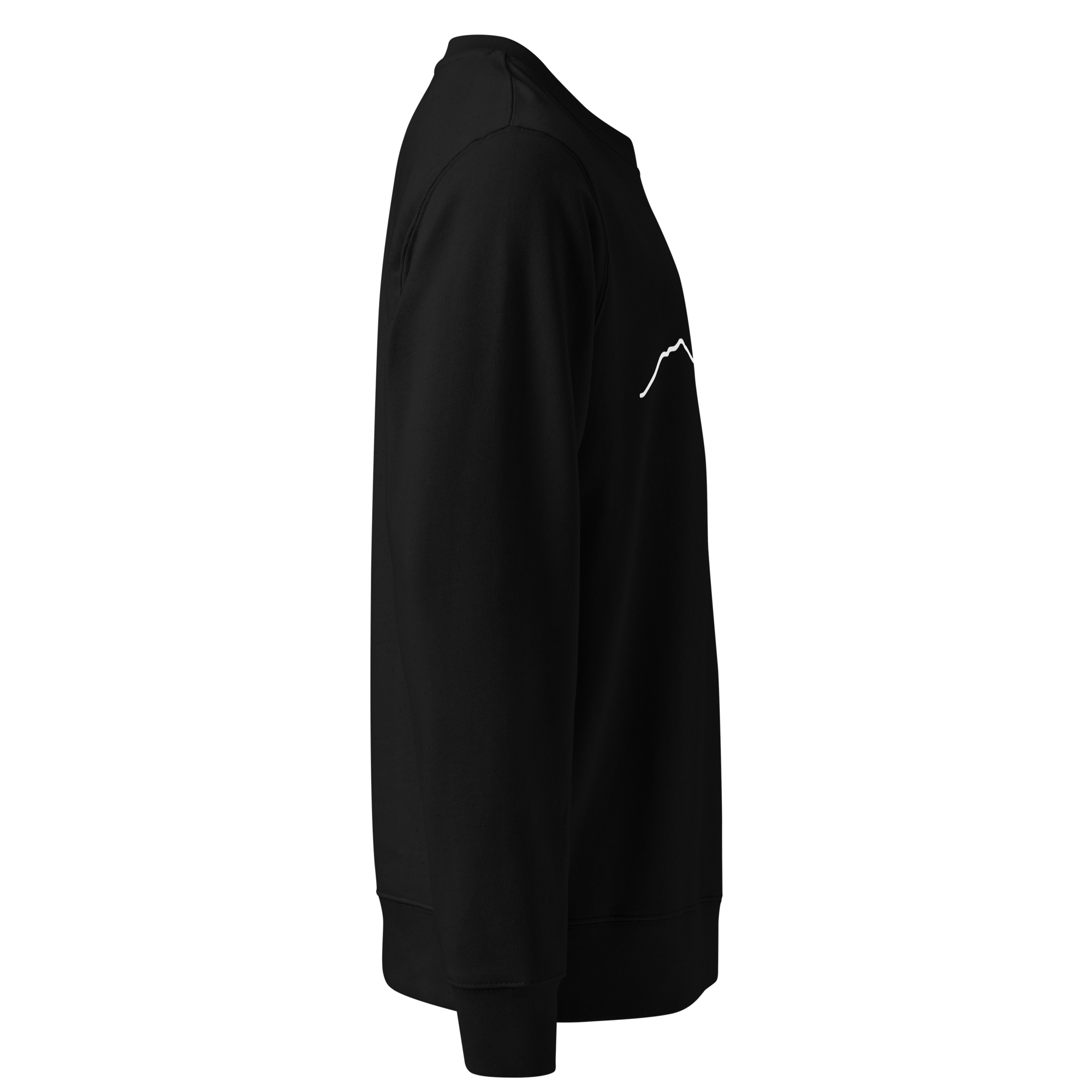 unisex-eco-sweatshirt-black-right-691c8db6631c9.png