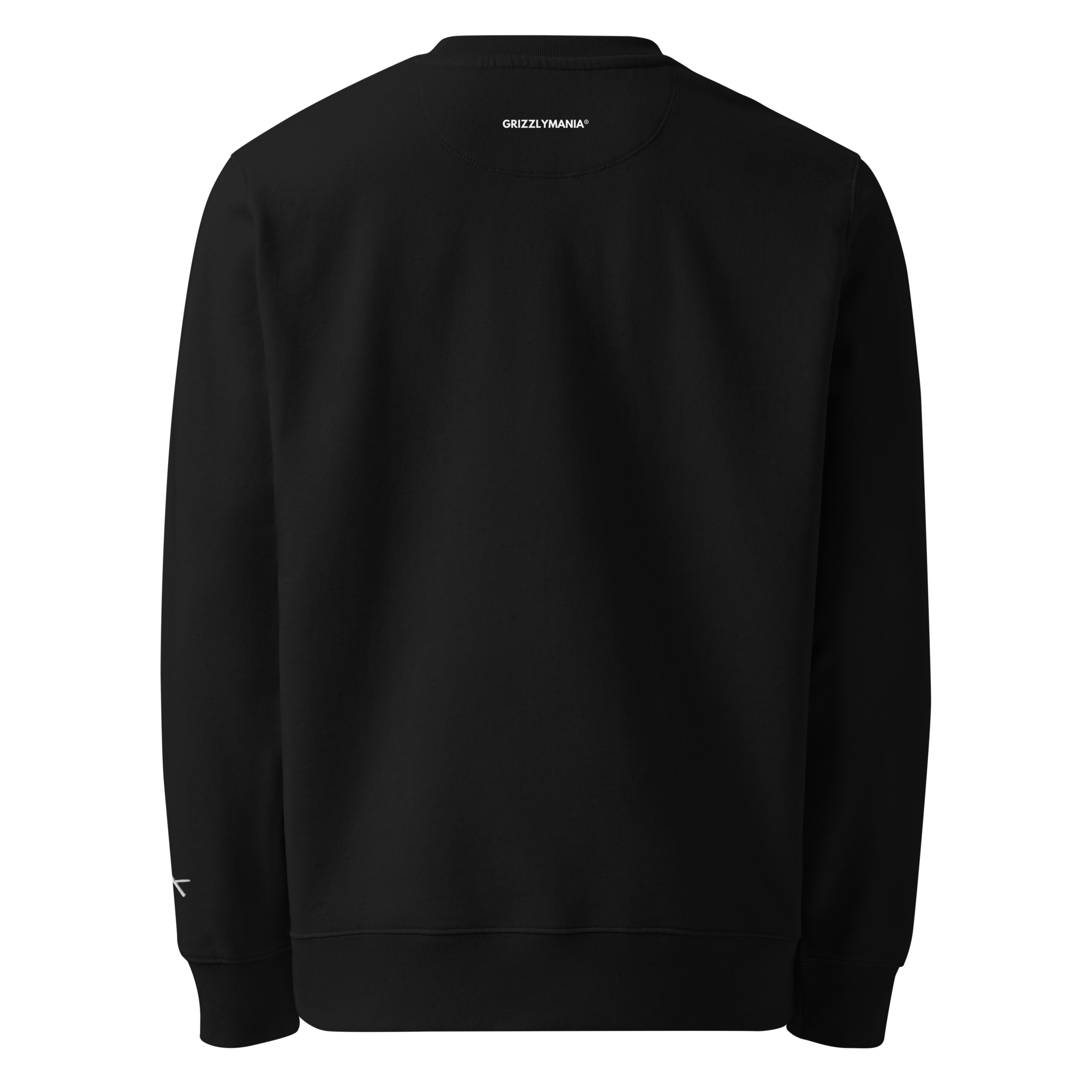 unisex-eco-sweatshirt-black-back-691c8db66267c.png
