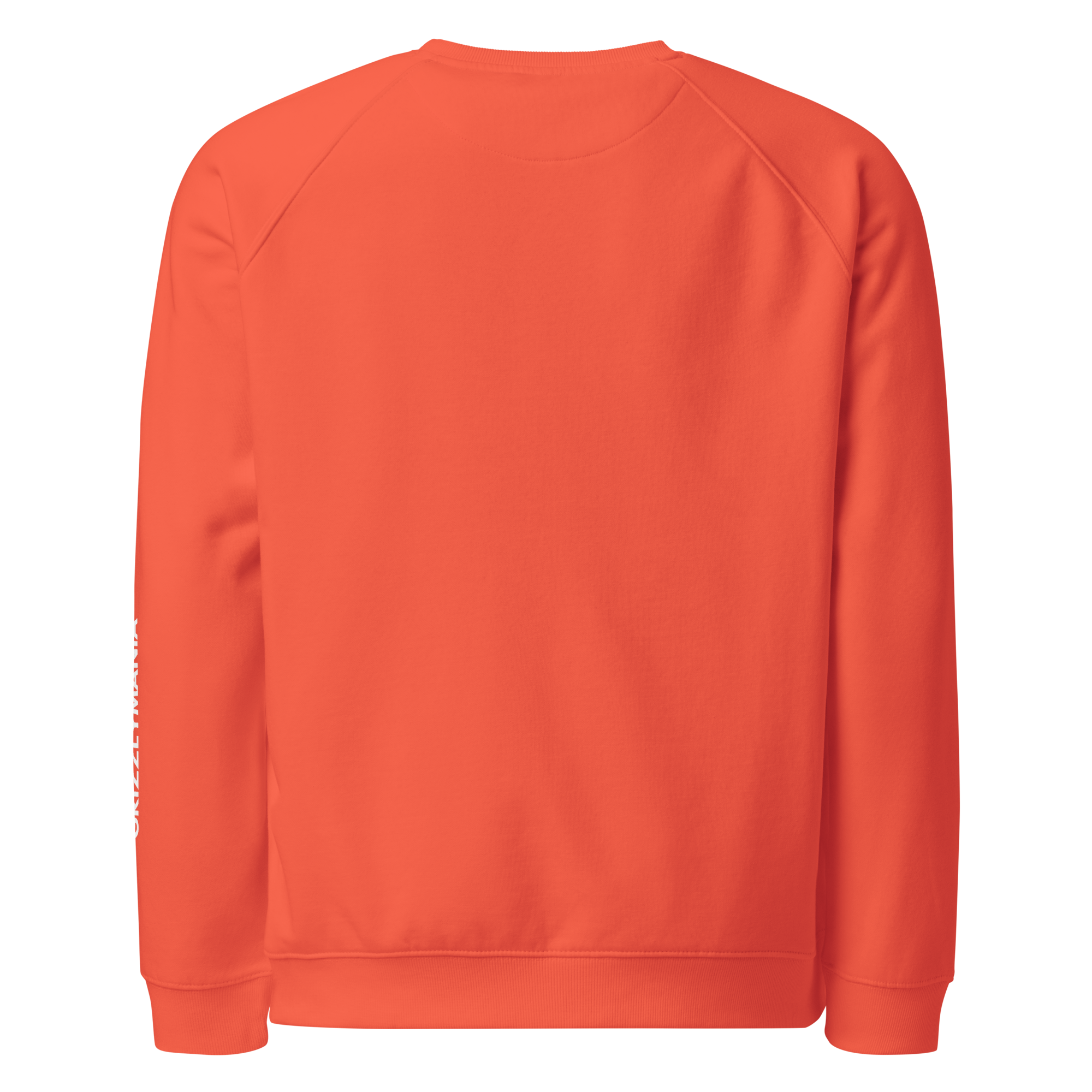 unisex-organic-raglan-sweatshirt-burnt-orange-back-691c99e8cf733.png