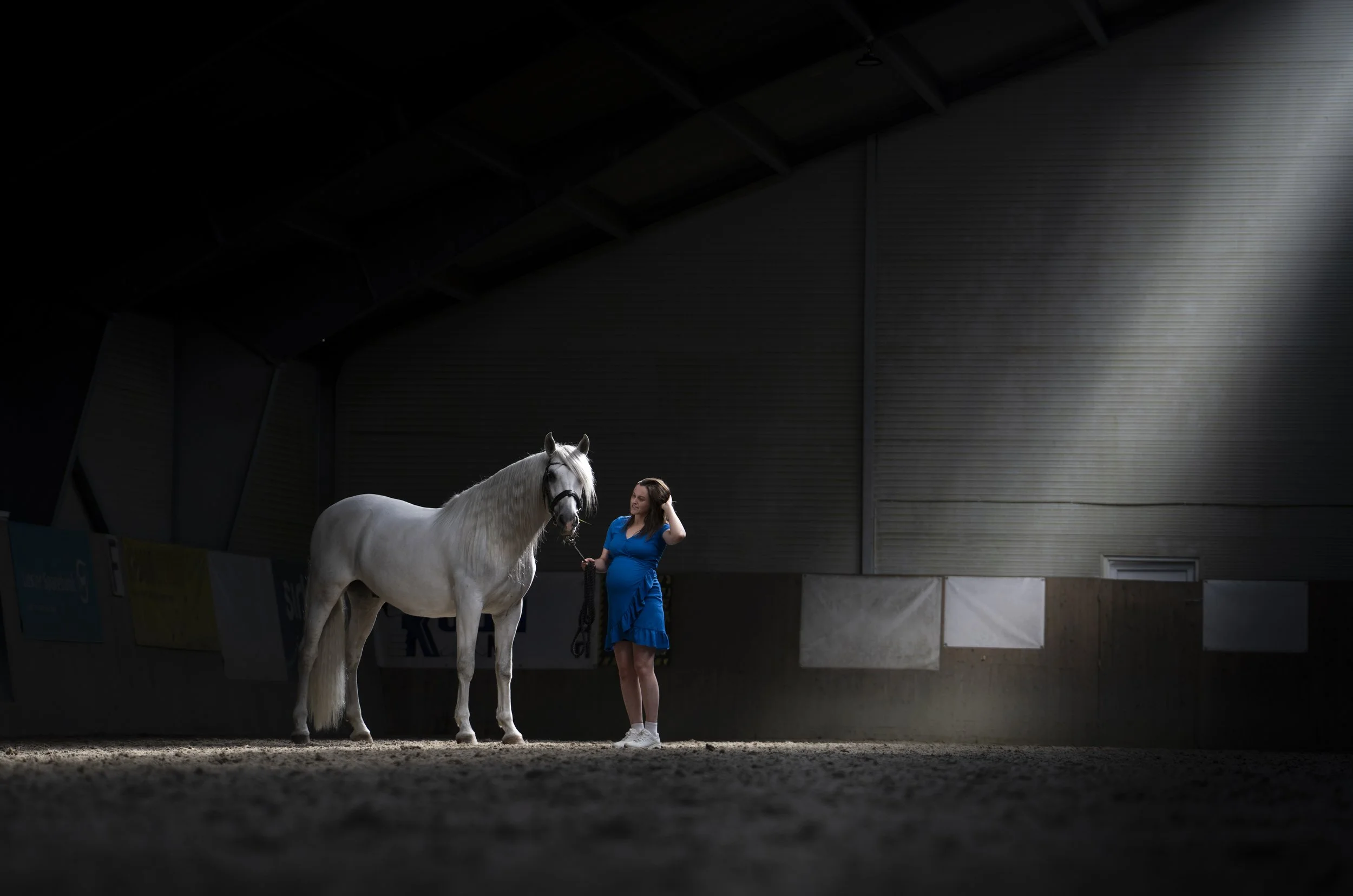 Hest2026_3.JPG