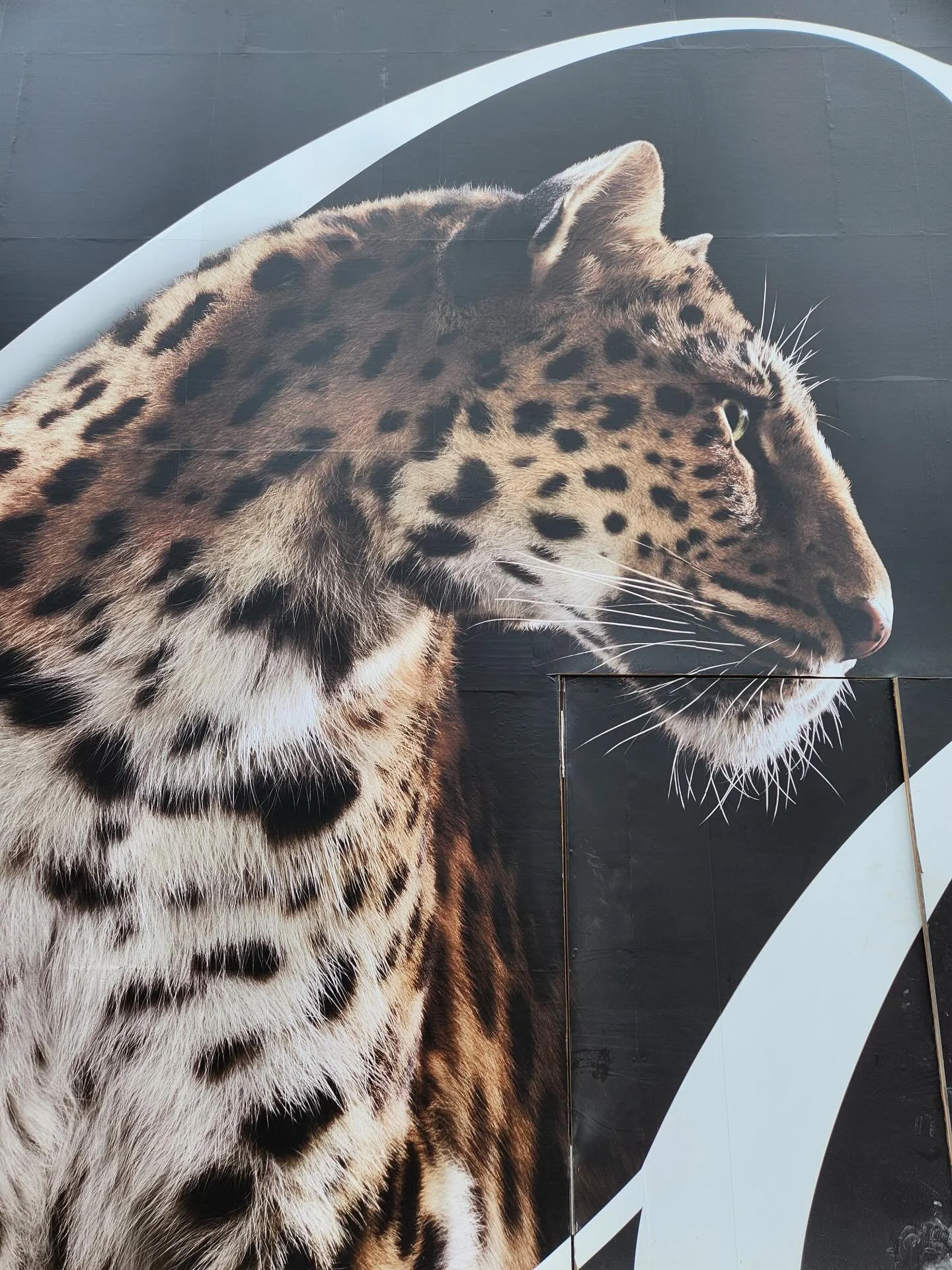 Coming soon &hellip; 🕵️&zwj;♀️🤔