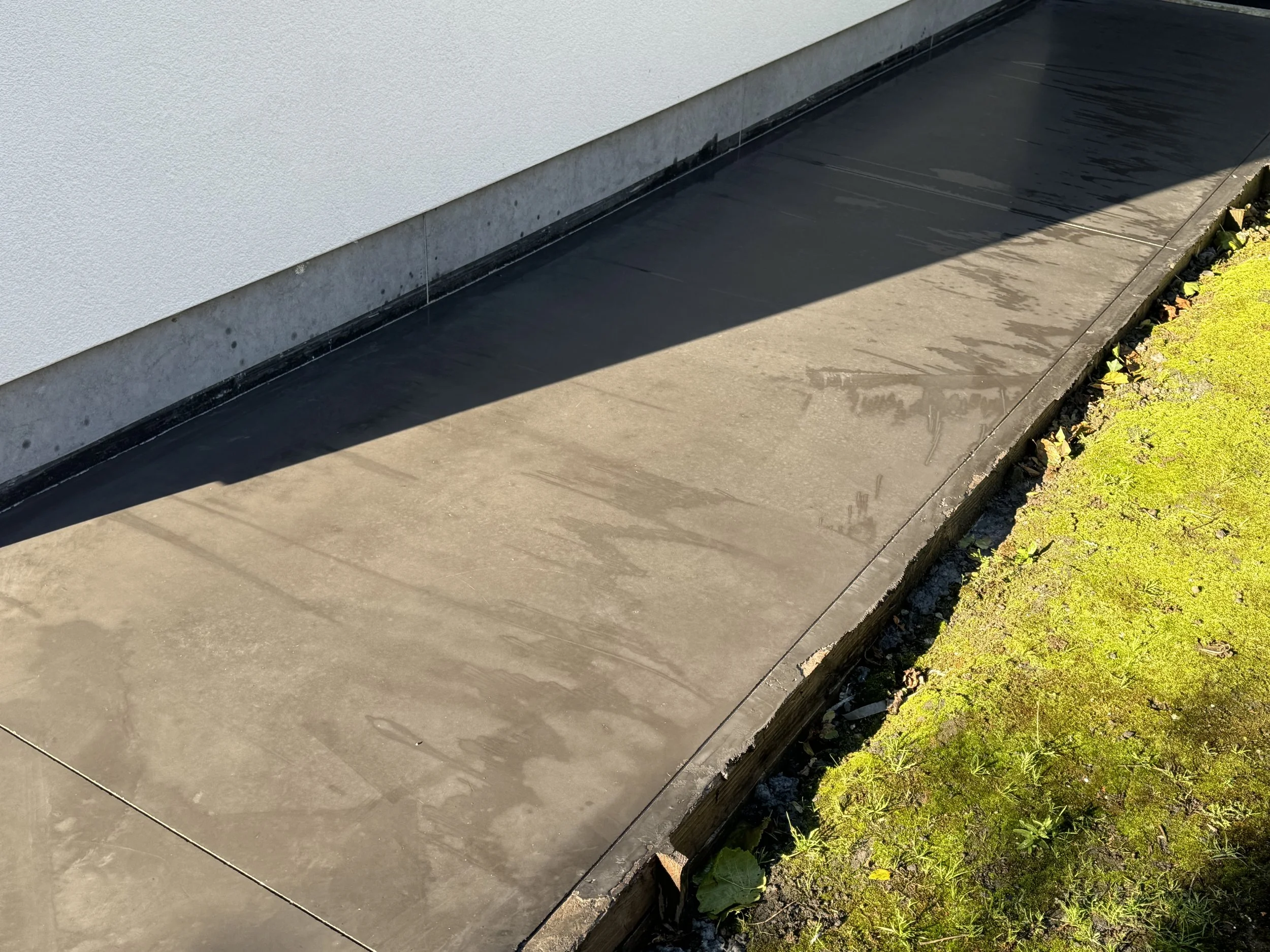 Een muur met een basis van beton en een houten rand, er ligt een betegelde stoep en een stuk groen gras met planten naast.