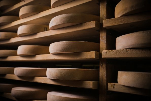 SBF-cheeses-aging-room-shelves.jpg