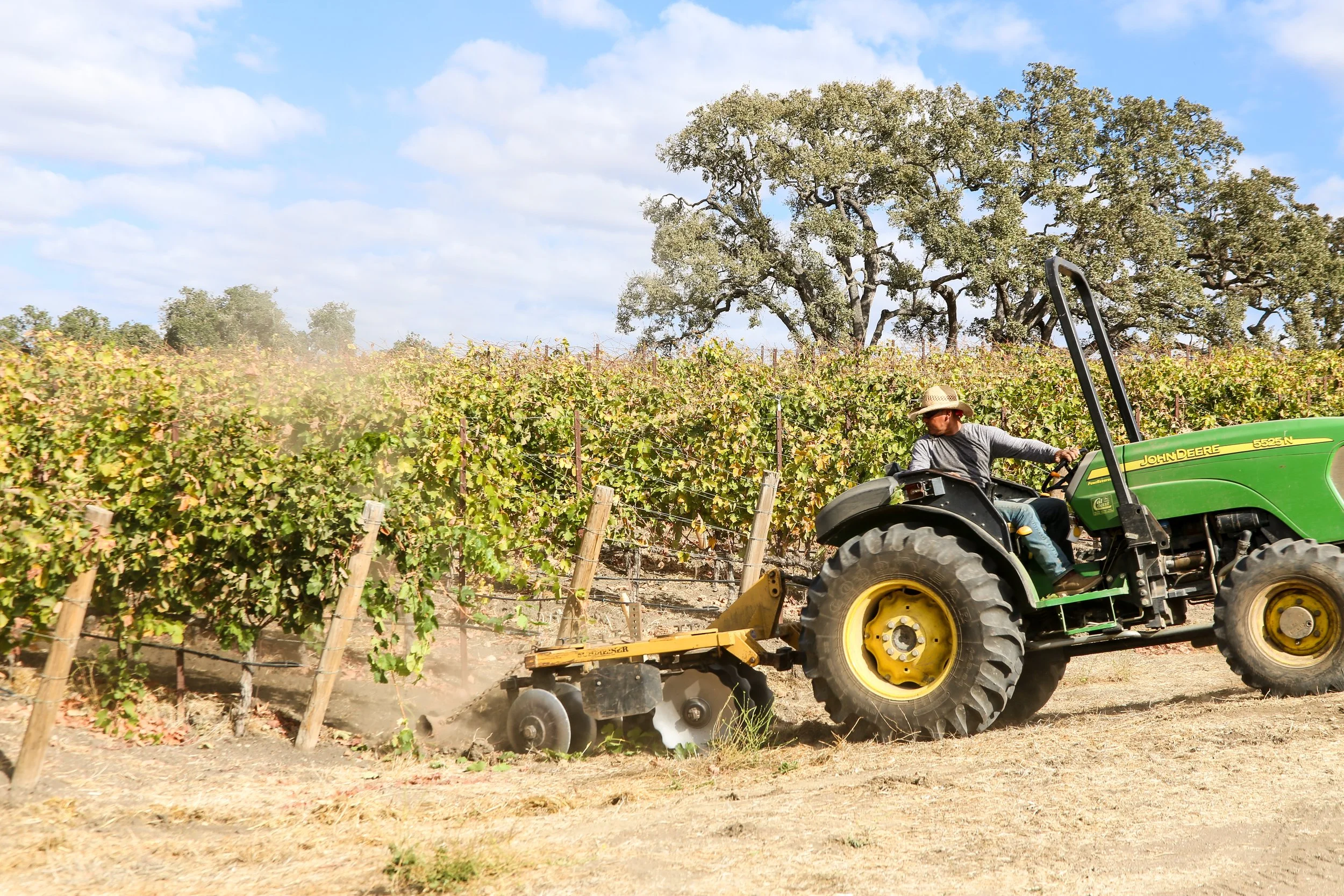 Vineyard manager with tractor in vine row