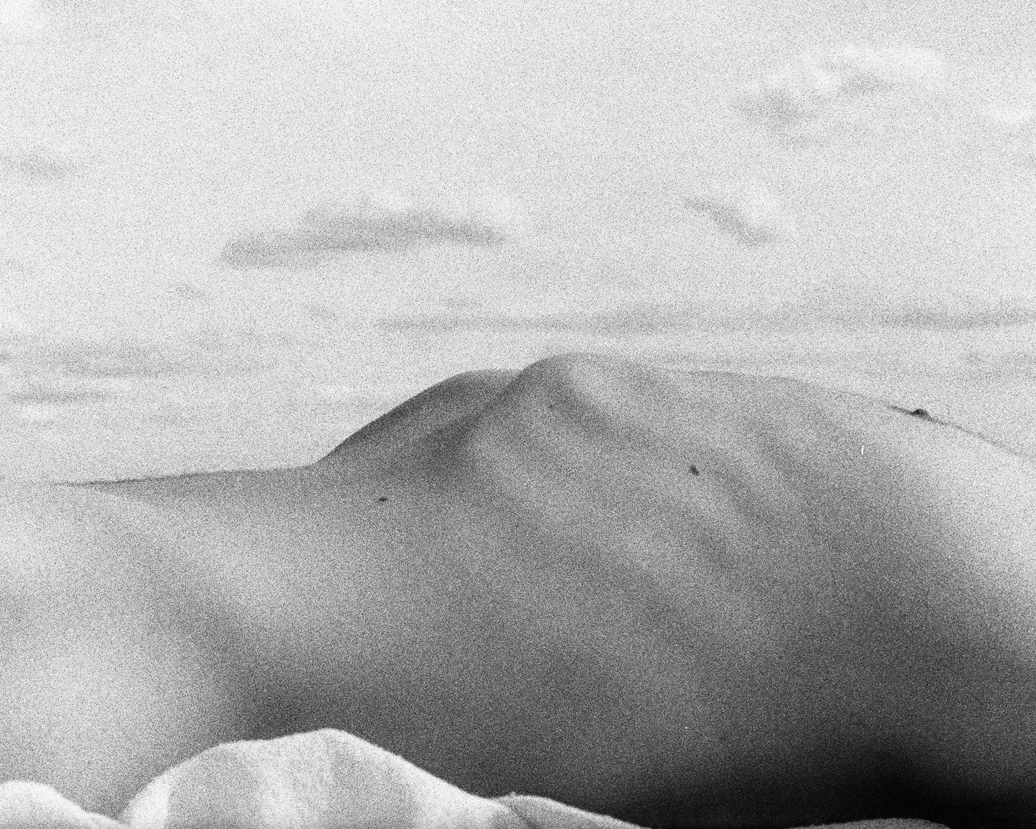 NUDE BEACH HORISON 1- 2022- 6x4.8 2.jpeg