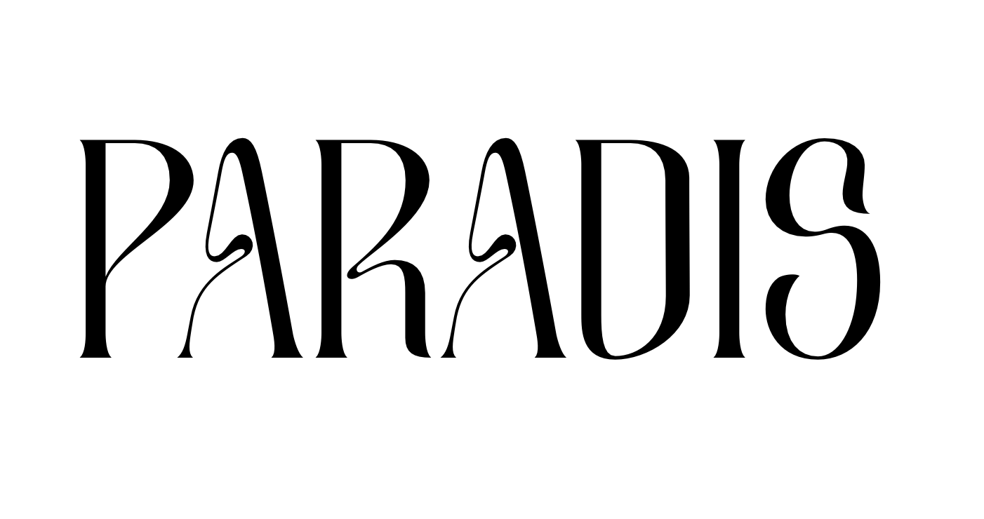 PARADIS AGENCY 