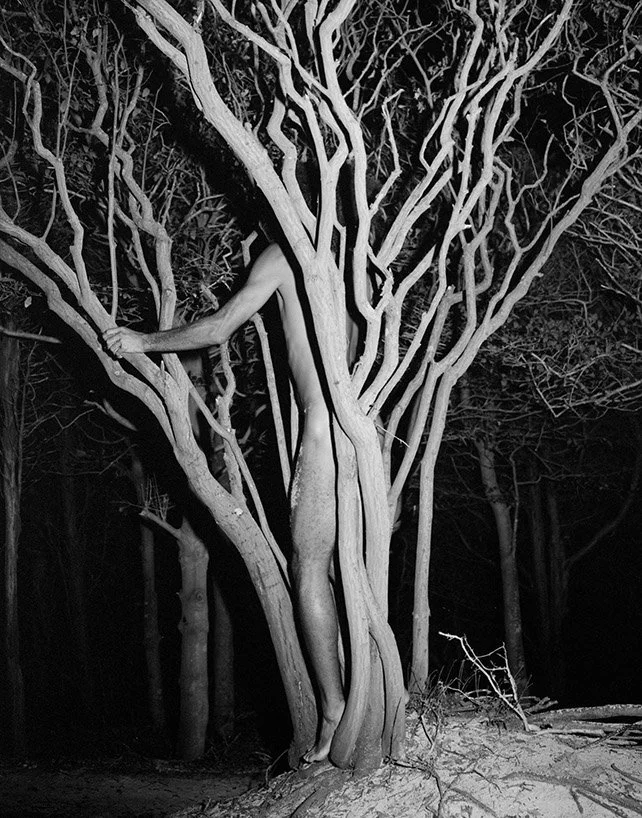 DANIEL RAMPULLA PORTFOLIO 3-71 copy.jpeg