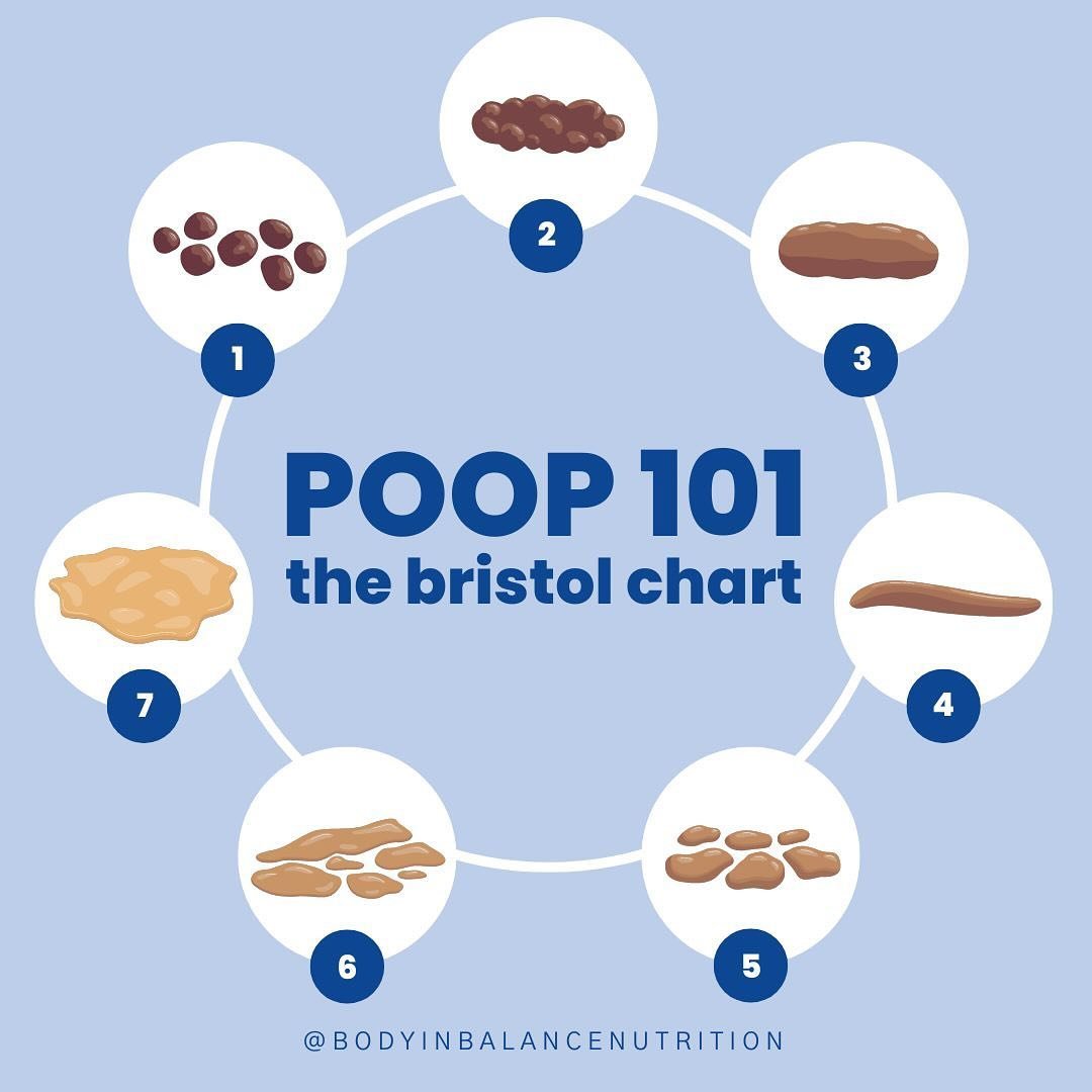 💩 POOP 101: THE BRISTOL CHART

The Bristol Stool Chart (also called the Bristol Stool Scale or Meyers Scale) is a tool used to classify stools into seven types that can be helpful in identifying bowel issues.

1️⃣ BRISTOL NO. 1 - &ldquo;rabbit poop&
