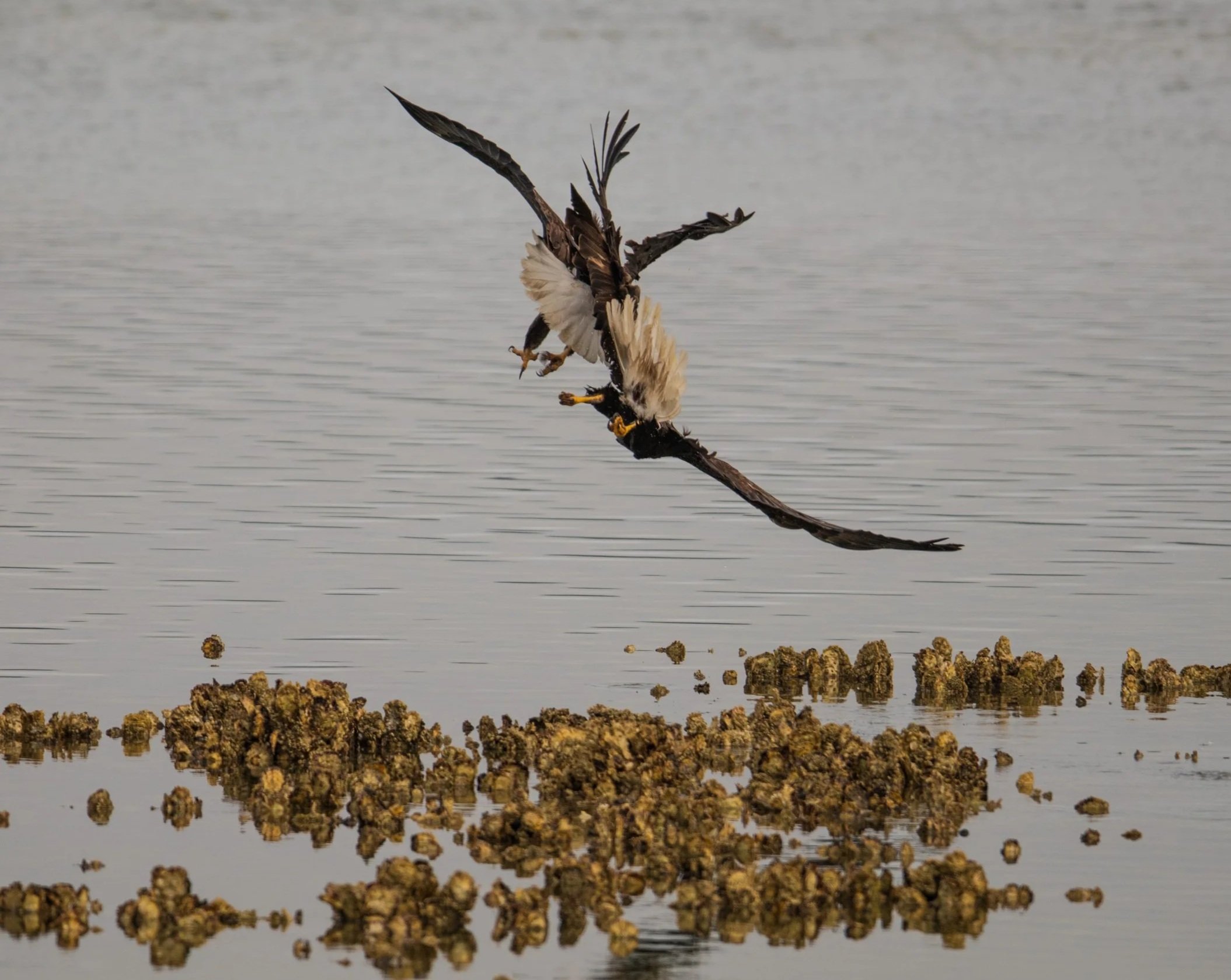 Up close and personal