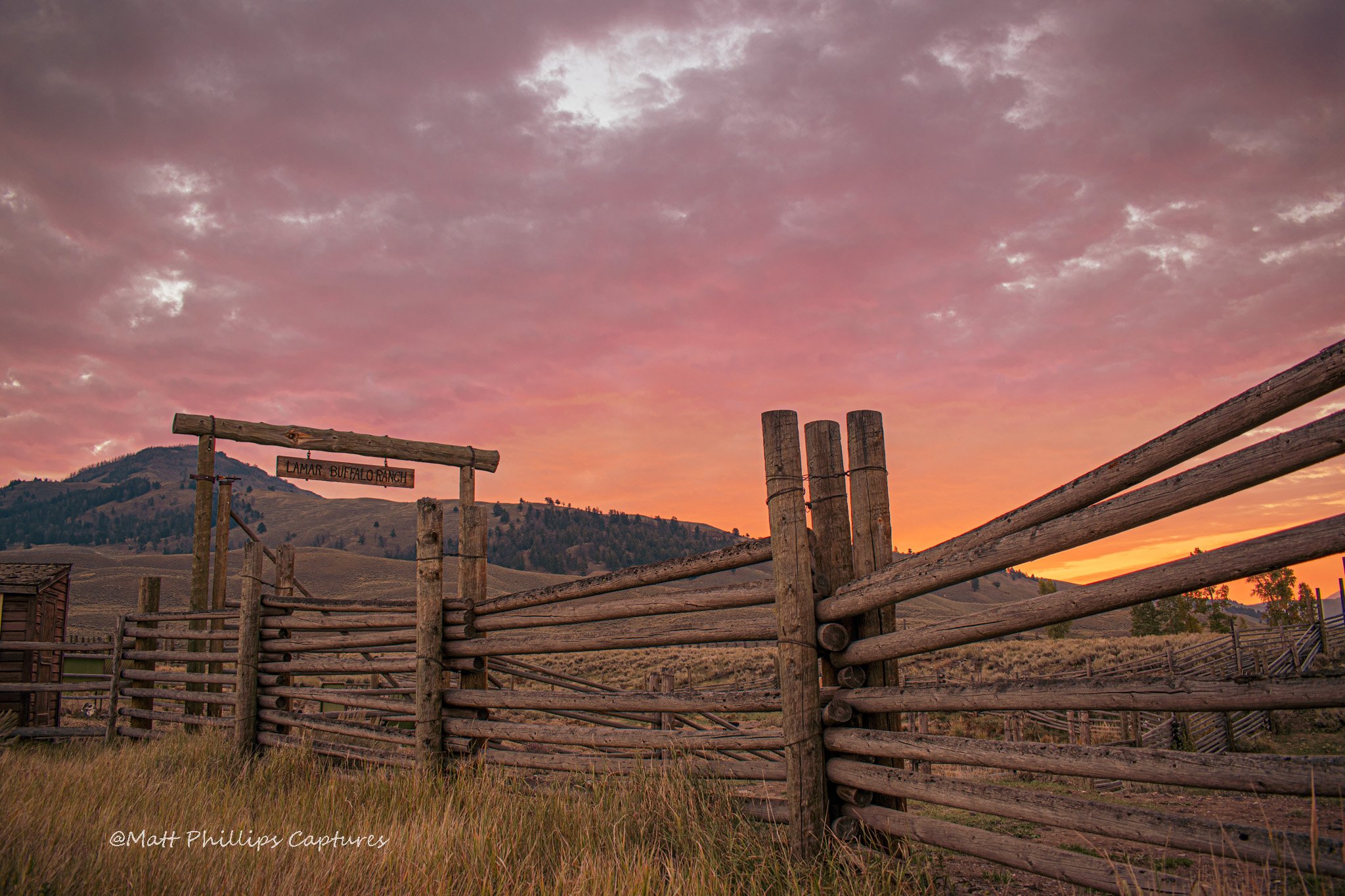 Buffalo Ranch YNP WM.jpg