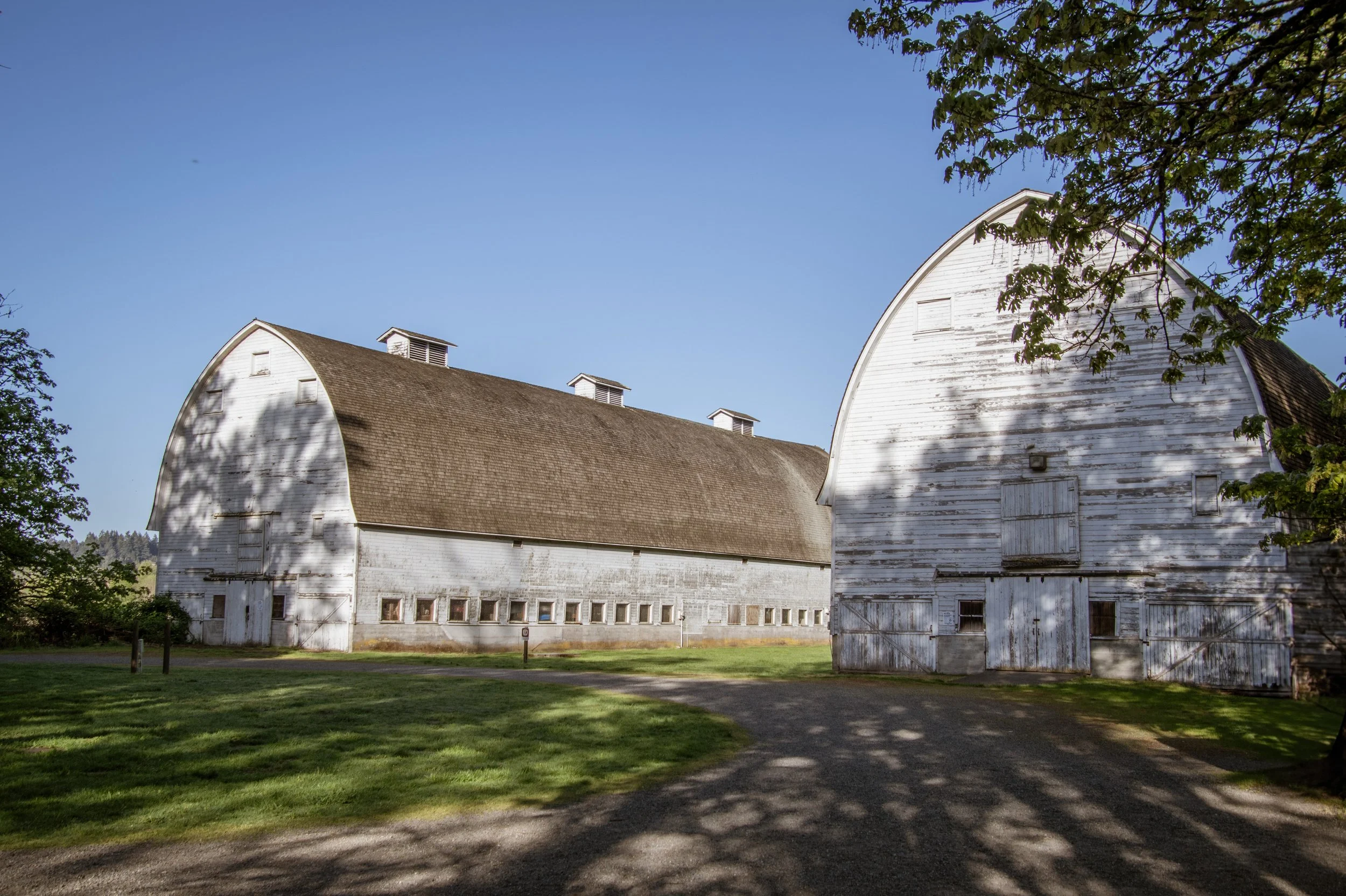 Barns 26-4.jpg