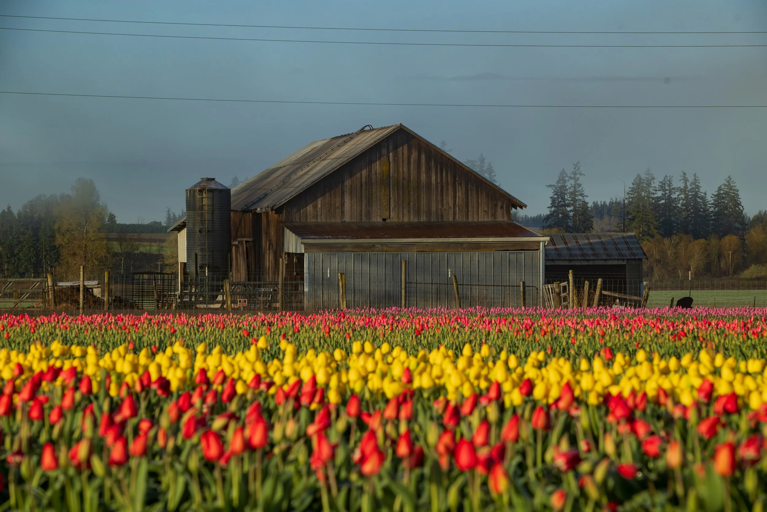 Oregon 3_26-17.jpg