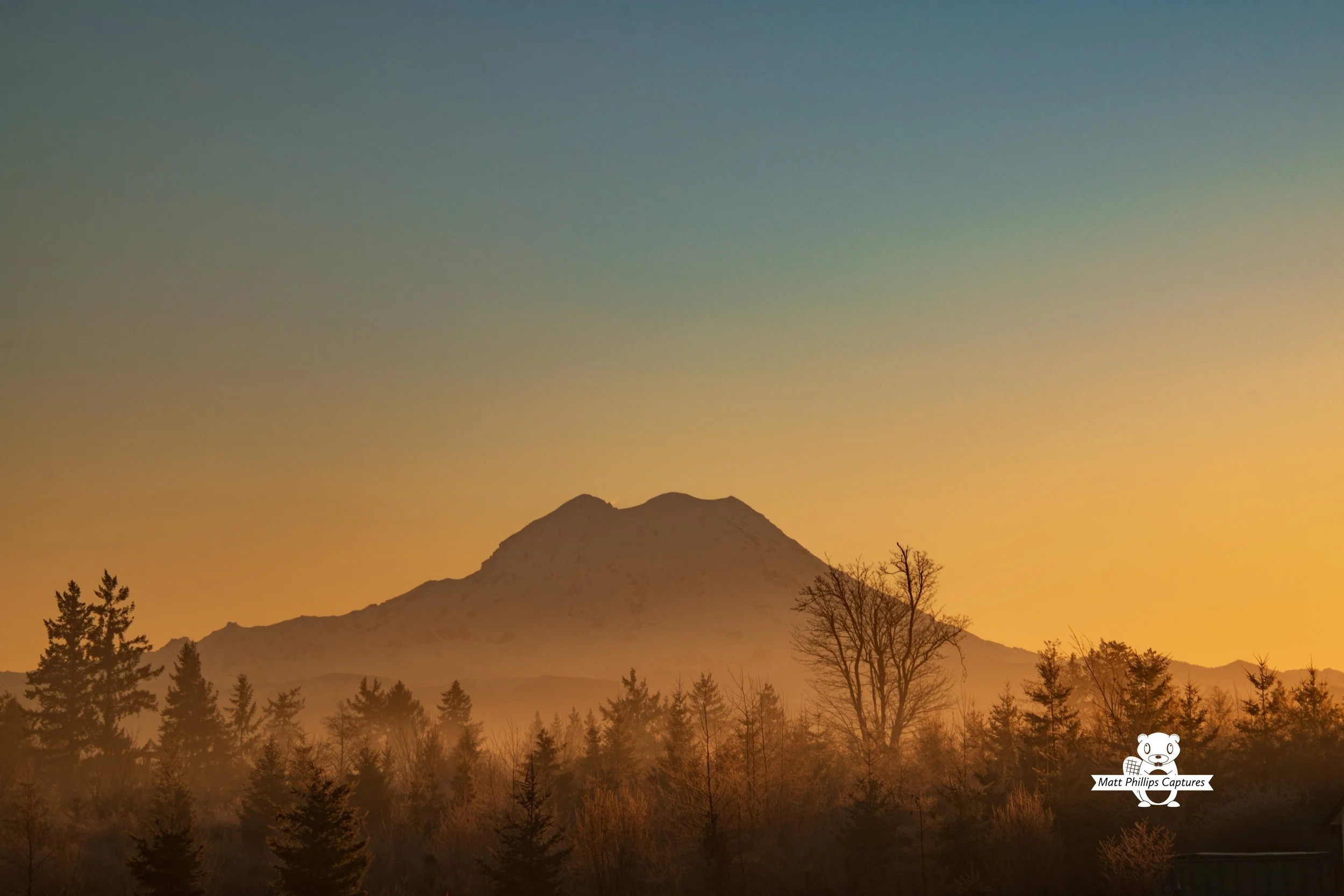 The Early Morning Glow