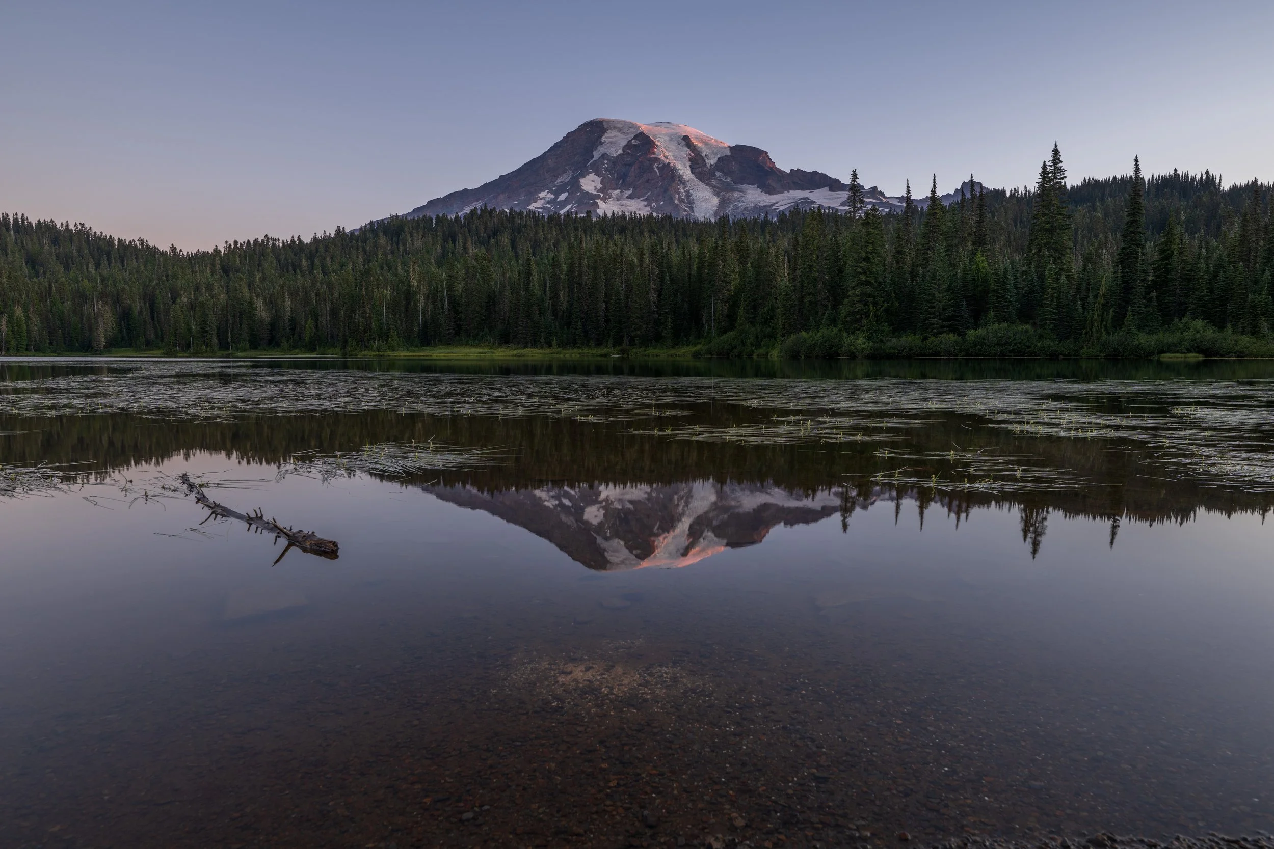 Early Morning Reflection 