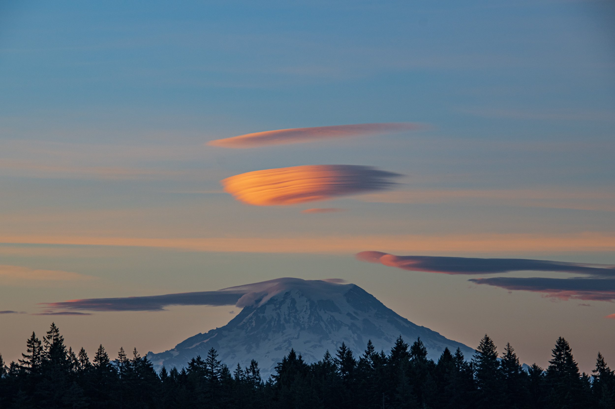Lenticular love -2.jpg