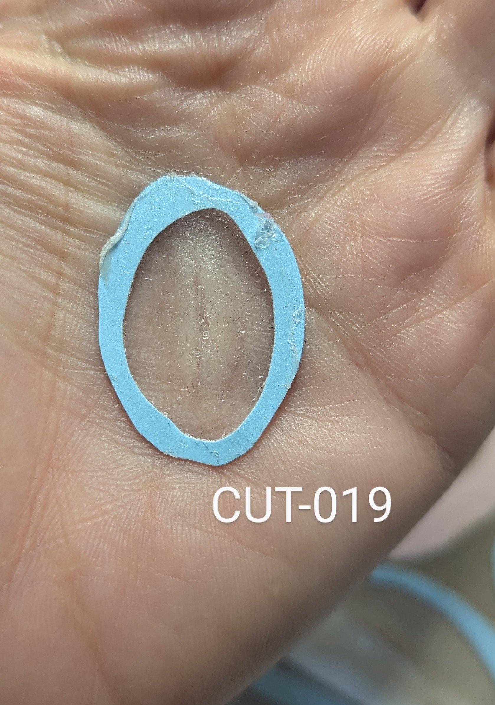 CUT-019