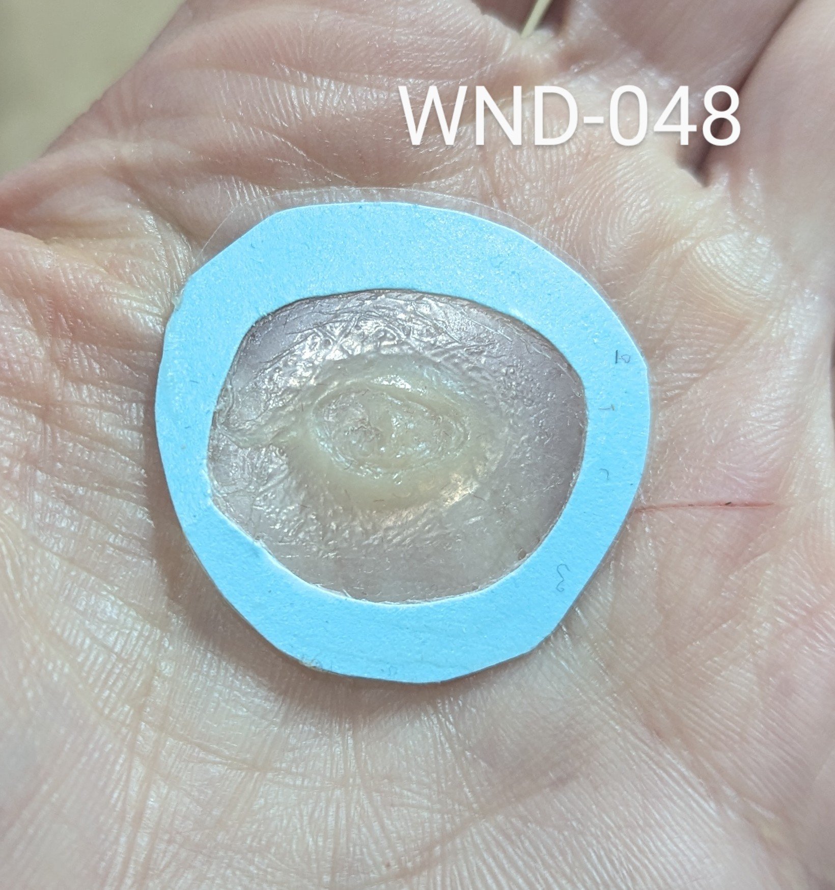 WND-048