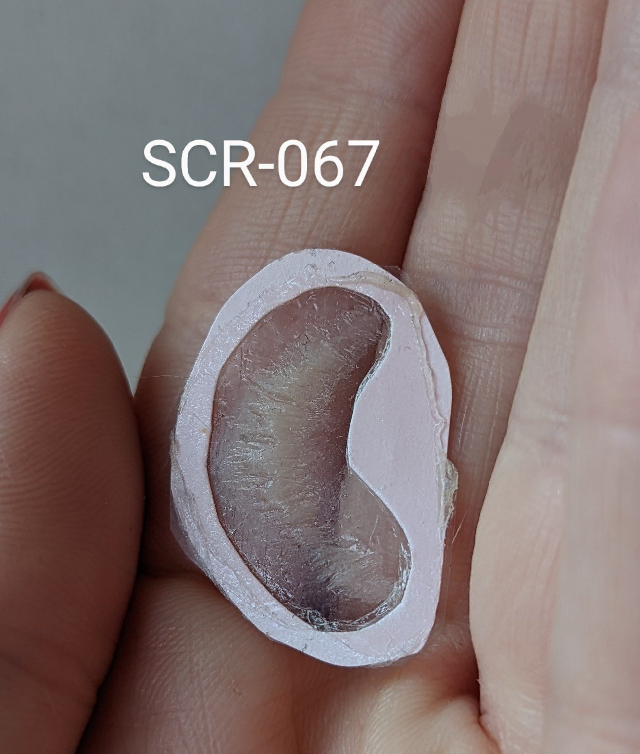 SCR-067