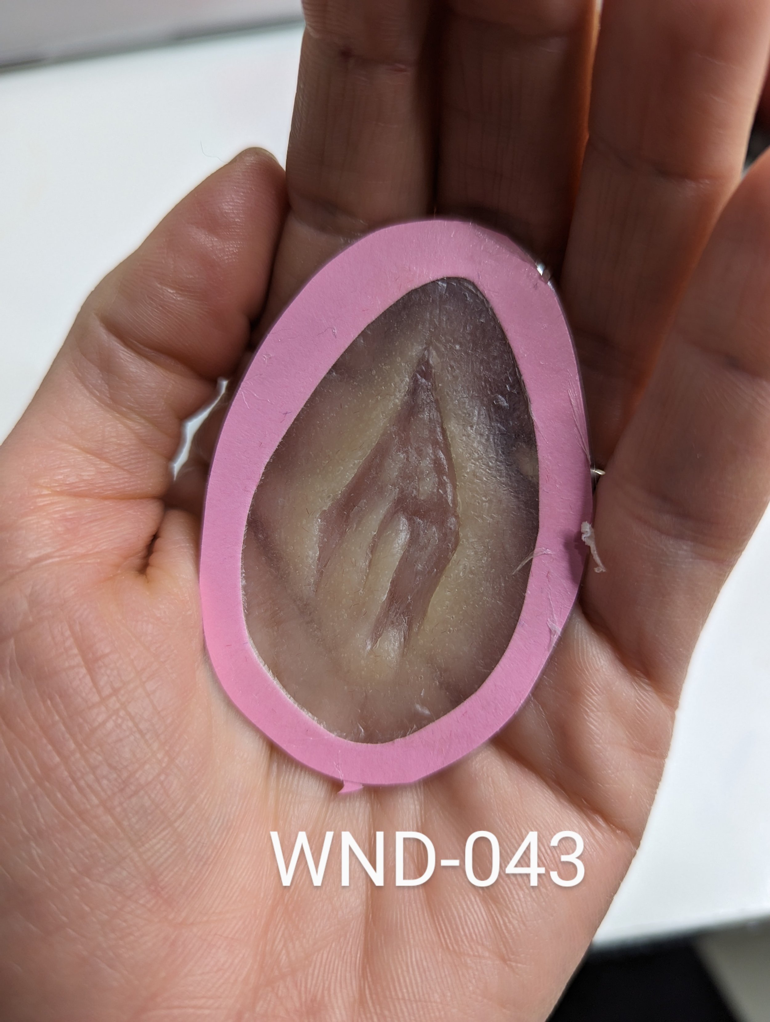 WND-043
